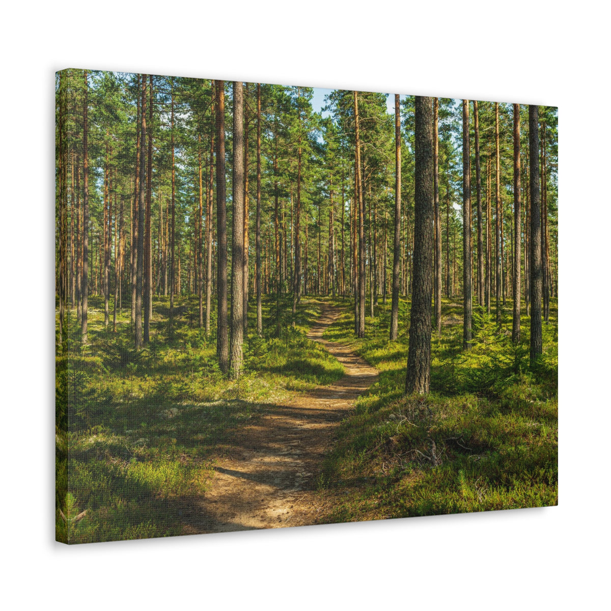 Green Forest Tree Path Nature Wilderness Photography Canvas Wall Art for Home Decor Ready-to-Hang-Express Your Love Gifts