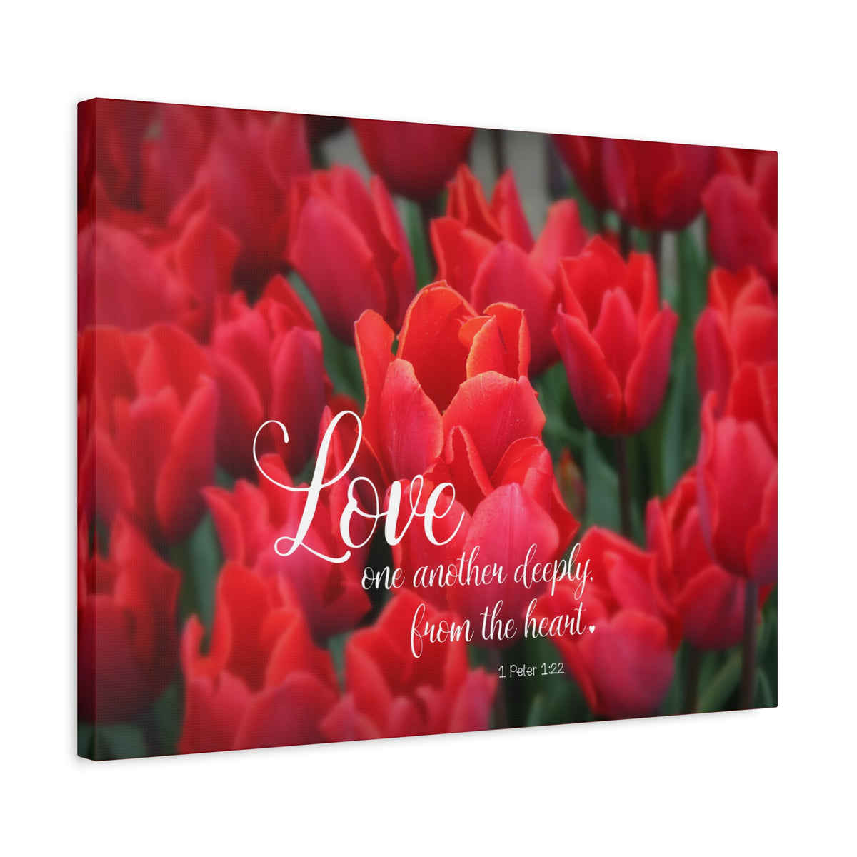 Scripture Canvas From The Heart 1 Peter 1:22 Christian Wall Art Bible Verse Print Ready to Hang-Express Your Love Gifts
