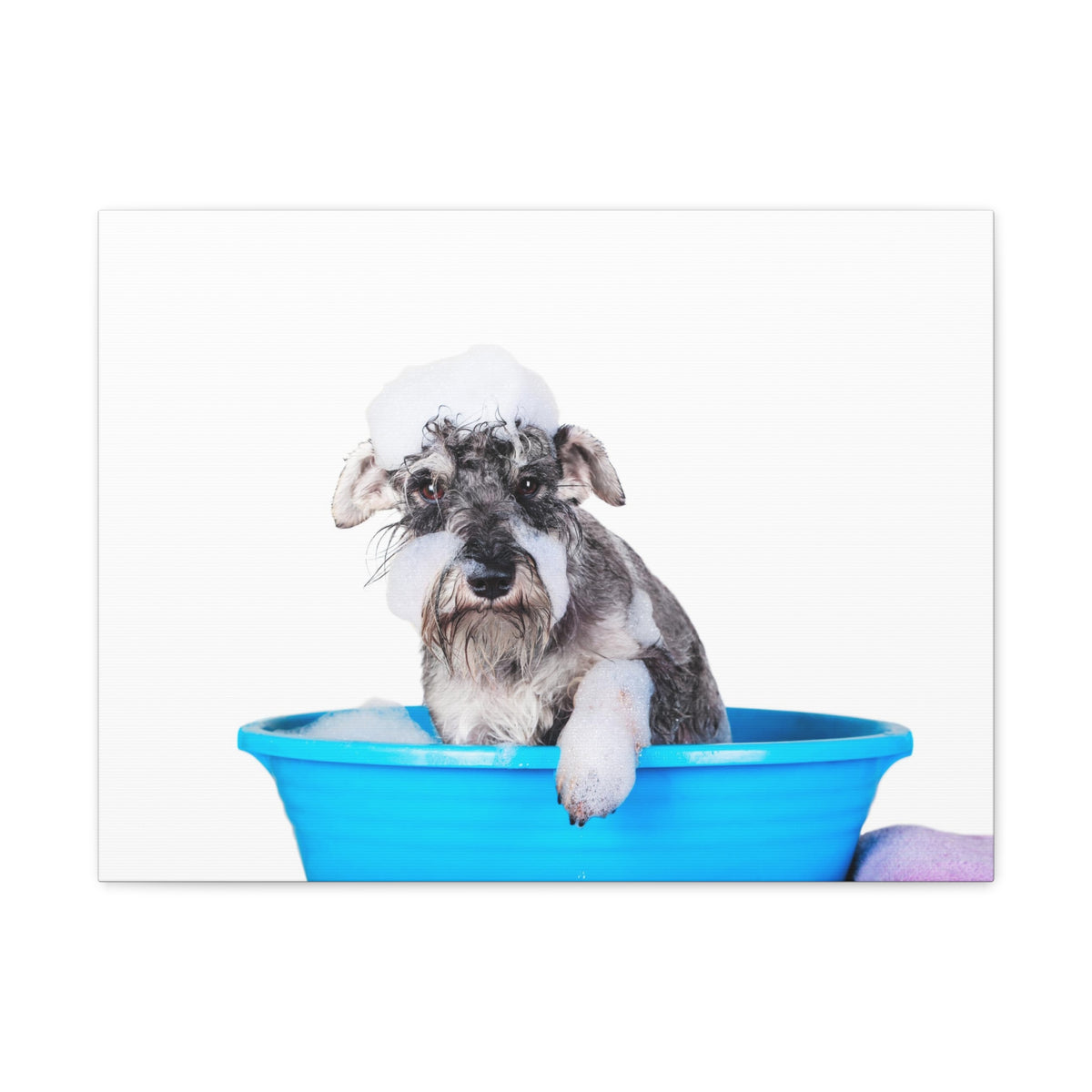 Cute Schnauzer Bath Canvas Wall Art for Home Decor Ready-to-Hang-Express Your Love Gifts