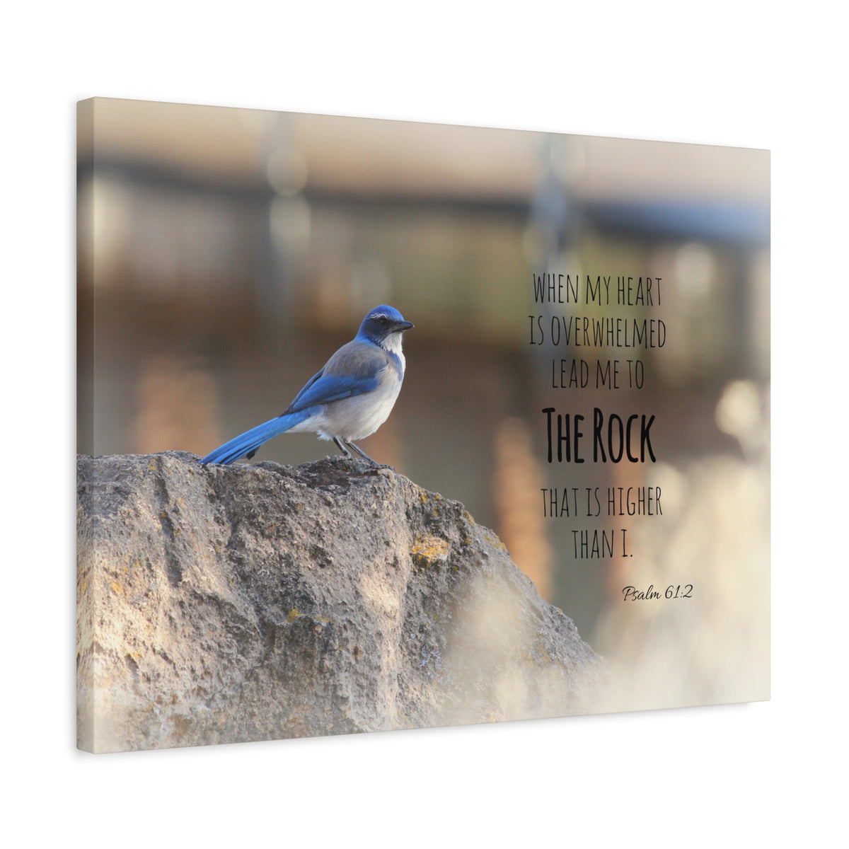 Scripture Canvas Higher Than I Psalm 61:2 Christian Wall Art Bible Verse Print Ready to Hang-Express Your Love Gifts