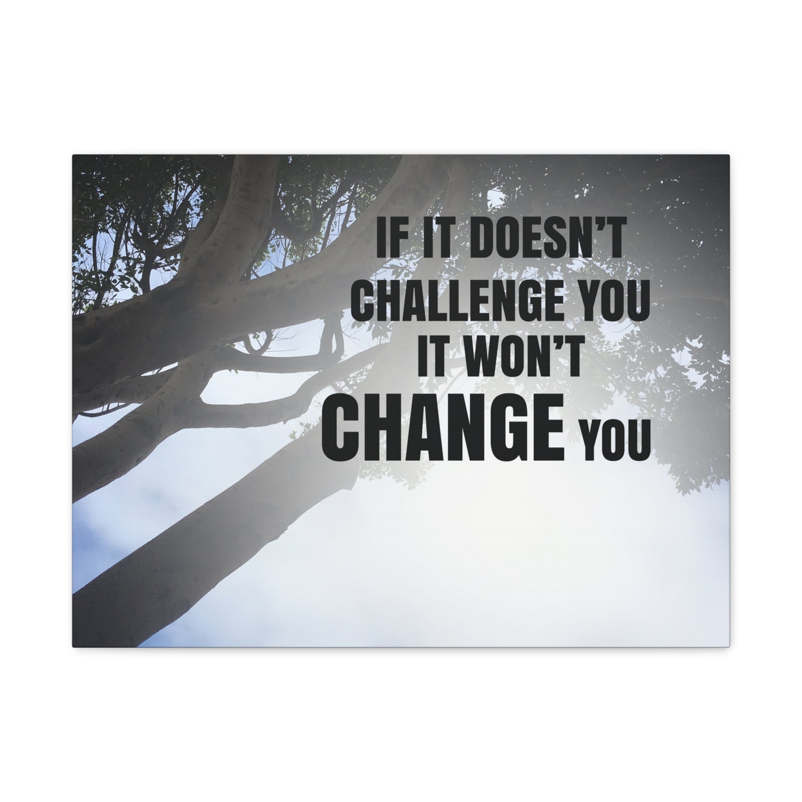 Inspirational Quote Canvas It Won't Change You Wall Art Motivational Motto Inspiring Prints Artwork Decor Ready to Hang-Express Your Love Gifts