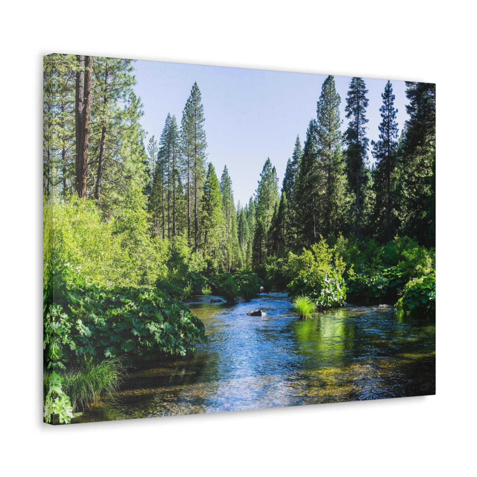 River Through The Green Forest Nature Wilderness Photography Canvas Wall Art for Home Decor Ready-to-Hang-Express Your Love Gifts