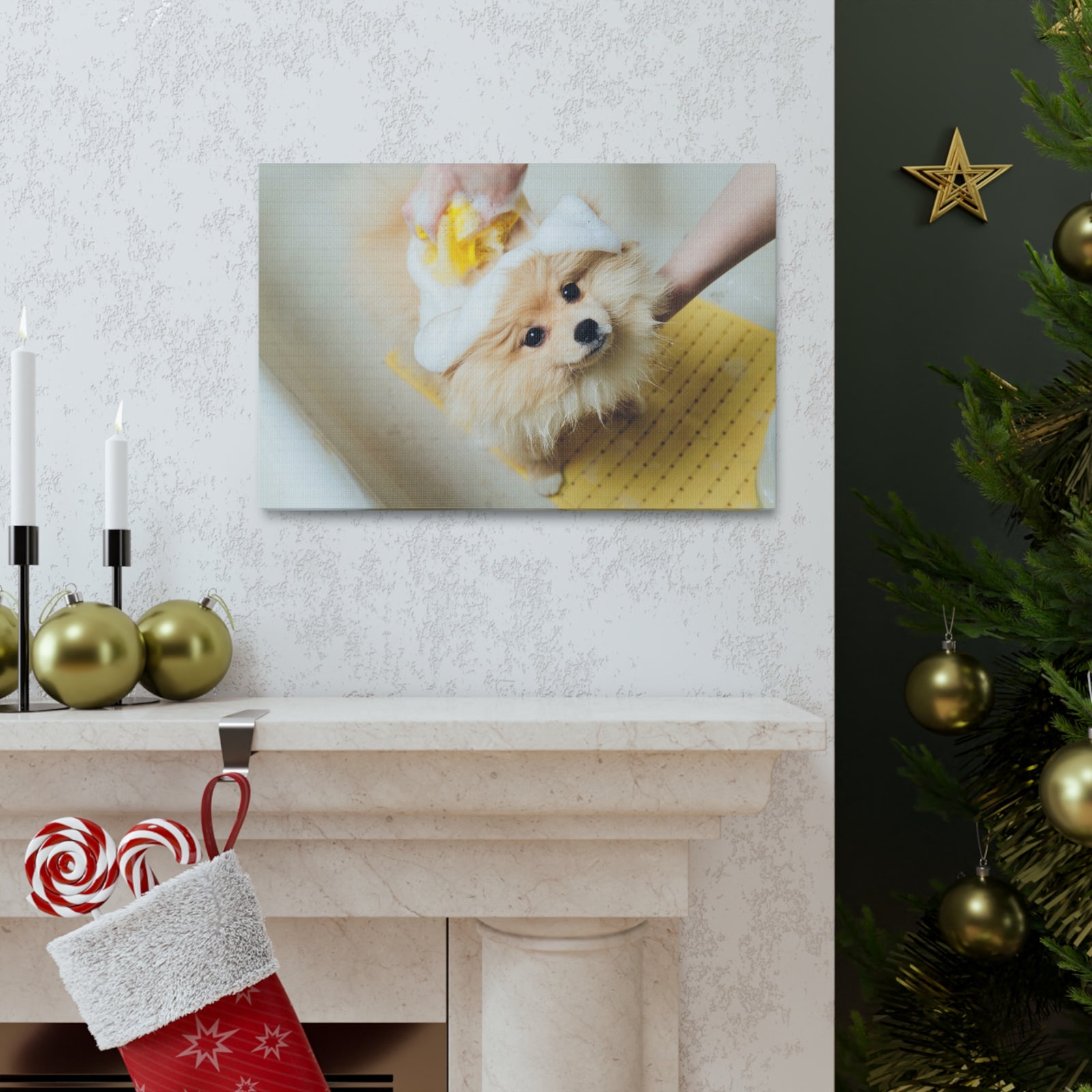 Cute Pomeranian Bathee Canvas Wall Art for Home Decor Ready-to-Hang-Express Your Love Gifts