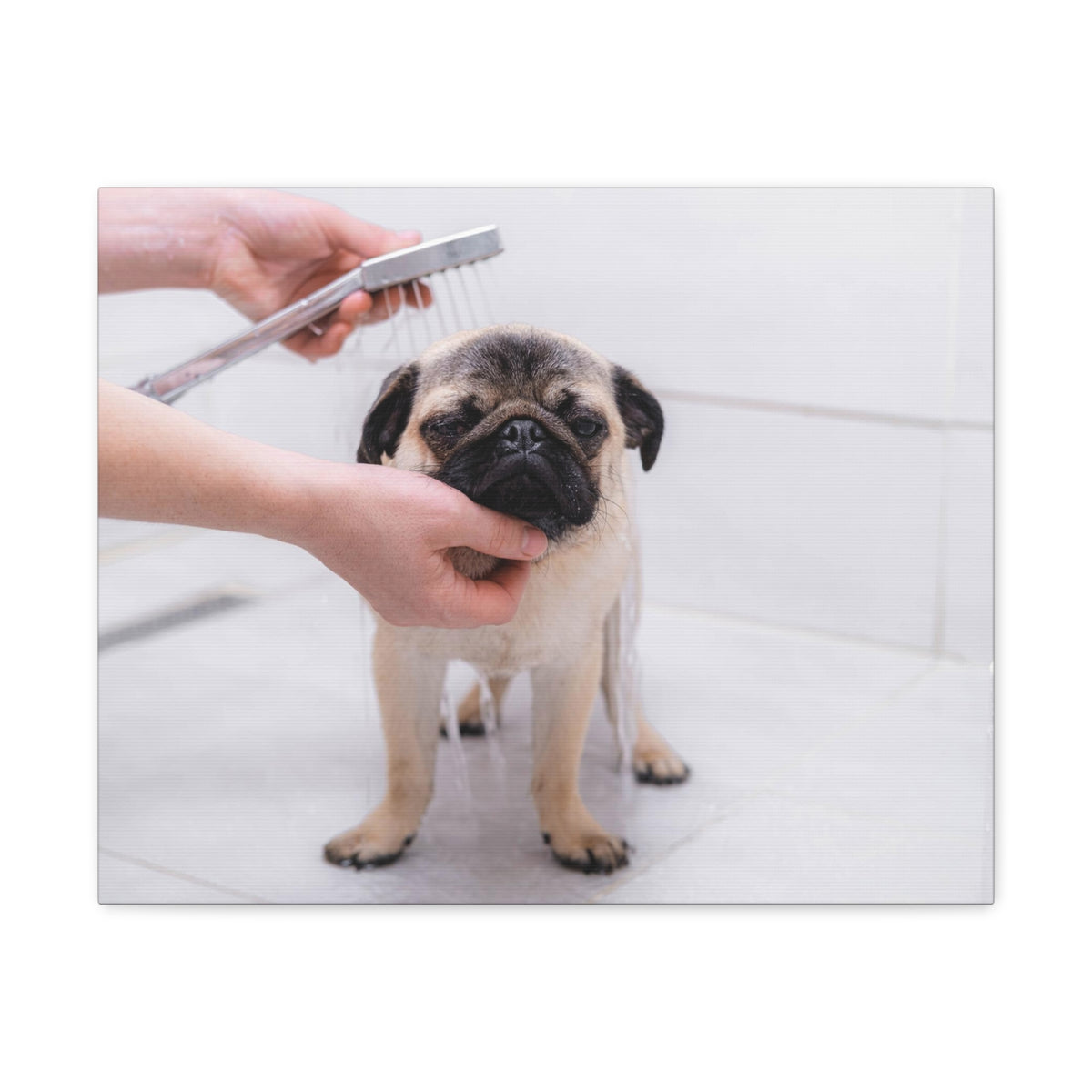 Cute Pug Bathee Canvas Wall Art for Home Decor Ready-to-Hang-Express Your Love Gifts