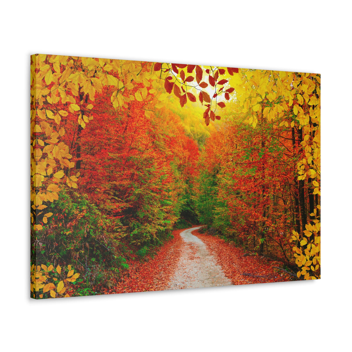 Autumn Fall Orange Leaf Forest Tree Trail Nature Wilderness Photography Canvas Wall Art for Home Decor Ready-to-Hang-Express Your Love Gifts