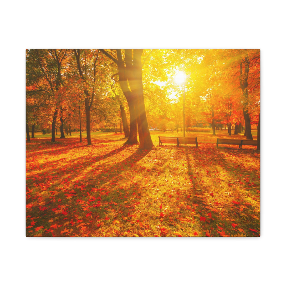 Sunrise Autumn Park Nature Wilderness Photography Canvas Wall Art for Home Decor Ready-to-Hang-Express Your Love Gifts