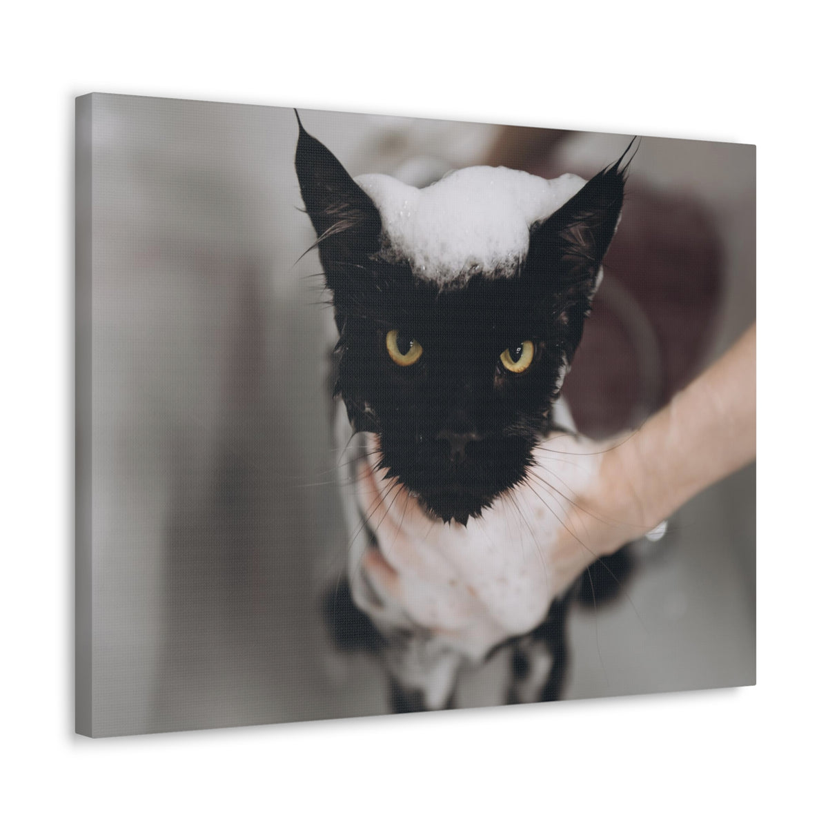 Cute Main Coon Bathee Canvas Wall Art for Home Decor Ready-to-Hang-Express Your Love Gifts