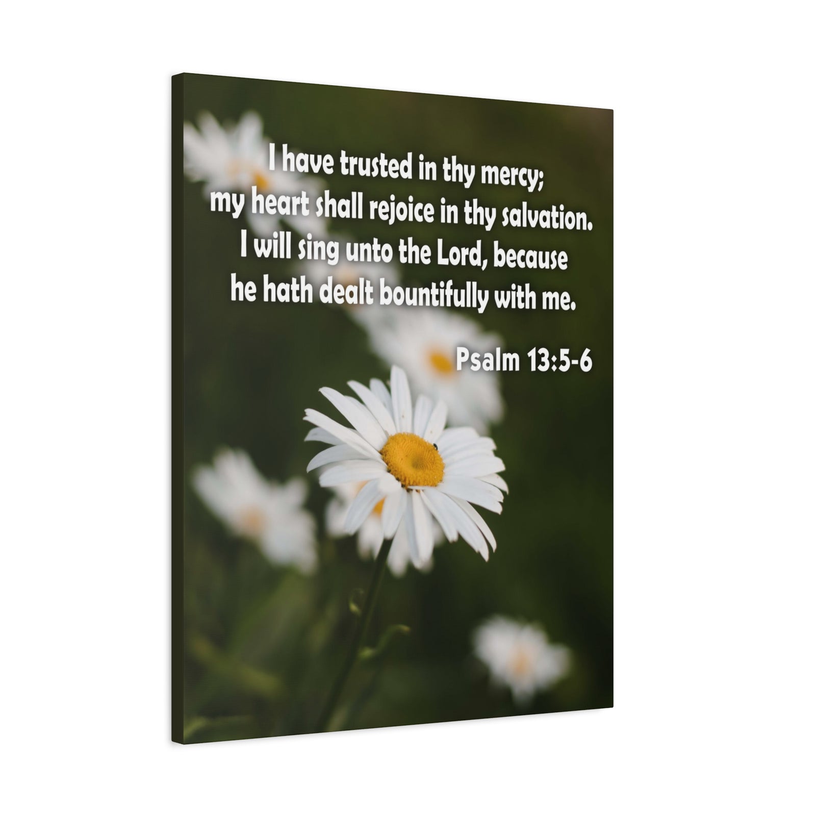 Scripture Canvas Rejoice in Thy Salvation Psalm 13:5-6 Christian Wall Art Bible Verse Print Ready to Hang-Express Your Love Gifts