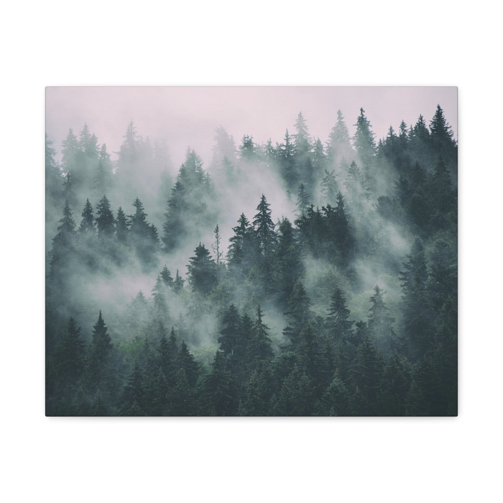 Misty Green Forest Pine Tree Nature Wilderness Photography Canvas Wall Art for Home Decor Ready-to-Hang-Express Your Love Gifts