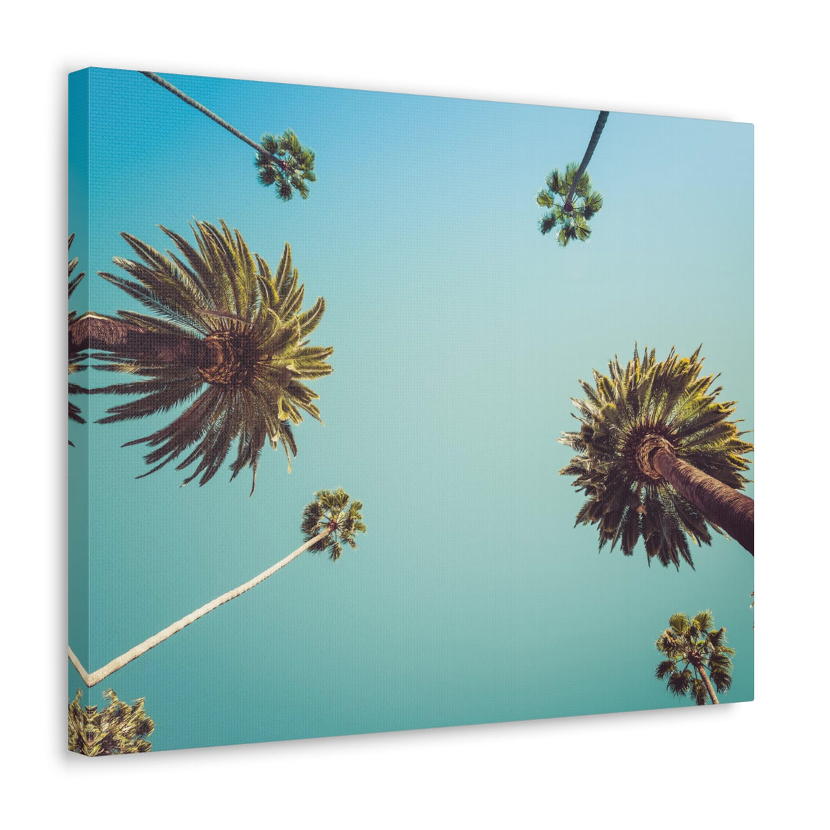 Los Angeles Palm Trees Modern Multicolor Scenic Nature Photography Canvas Home Office Decor Ready to Hang-Express Your Love Gifts