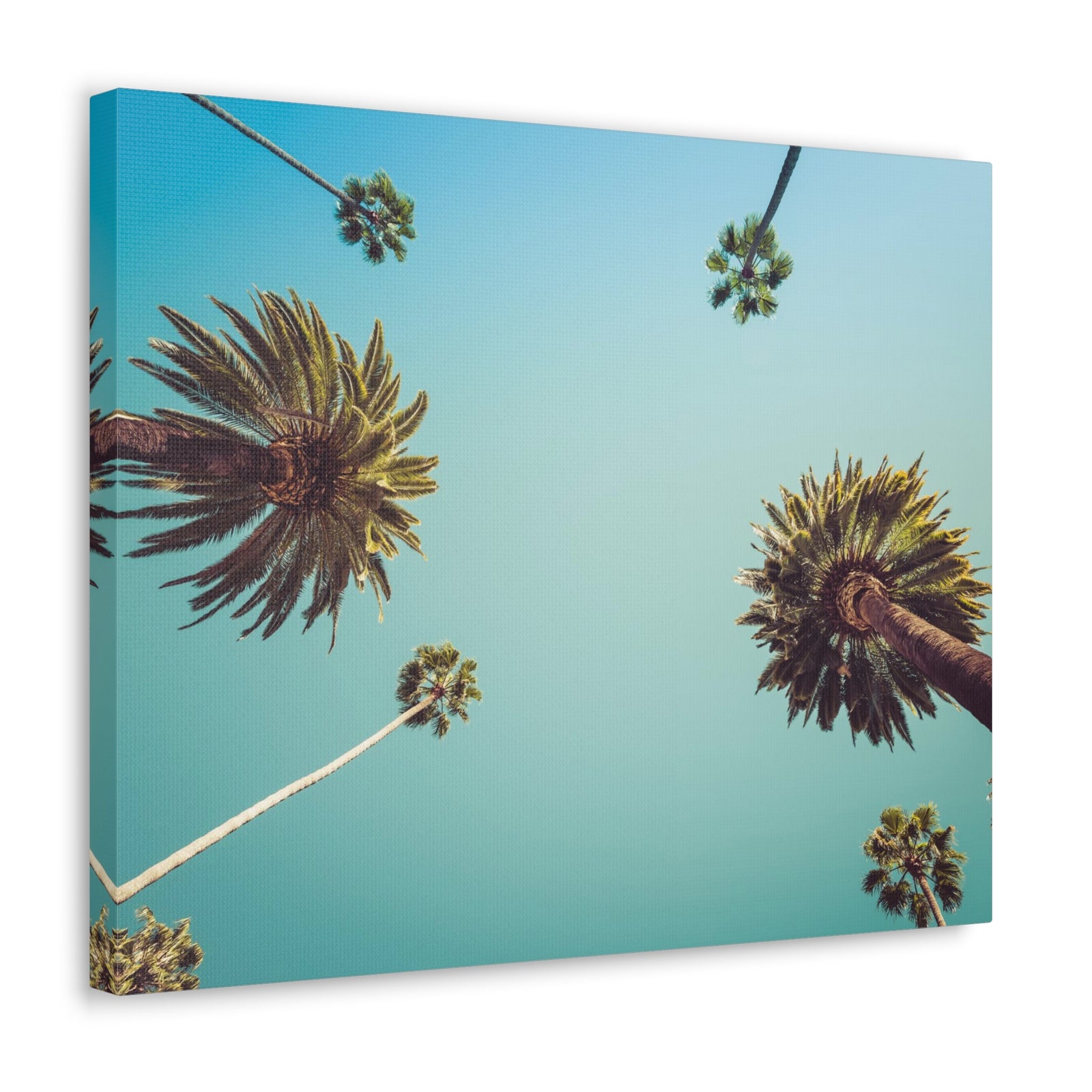 Los Angeles Palm Trees Modern Multicolor Scenic Nature Photography Canvas Home Office Decor Ready to Hang-Express Your Love Gifts