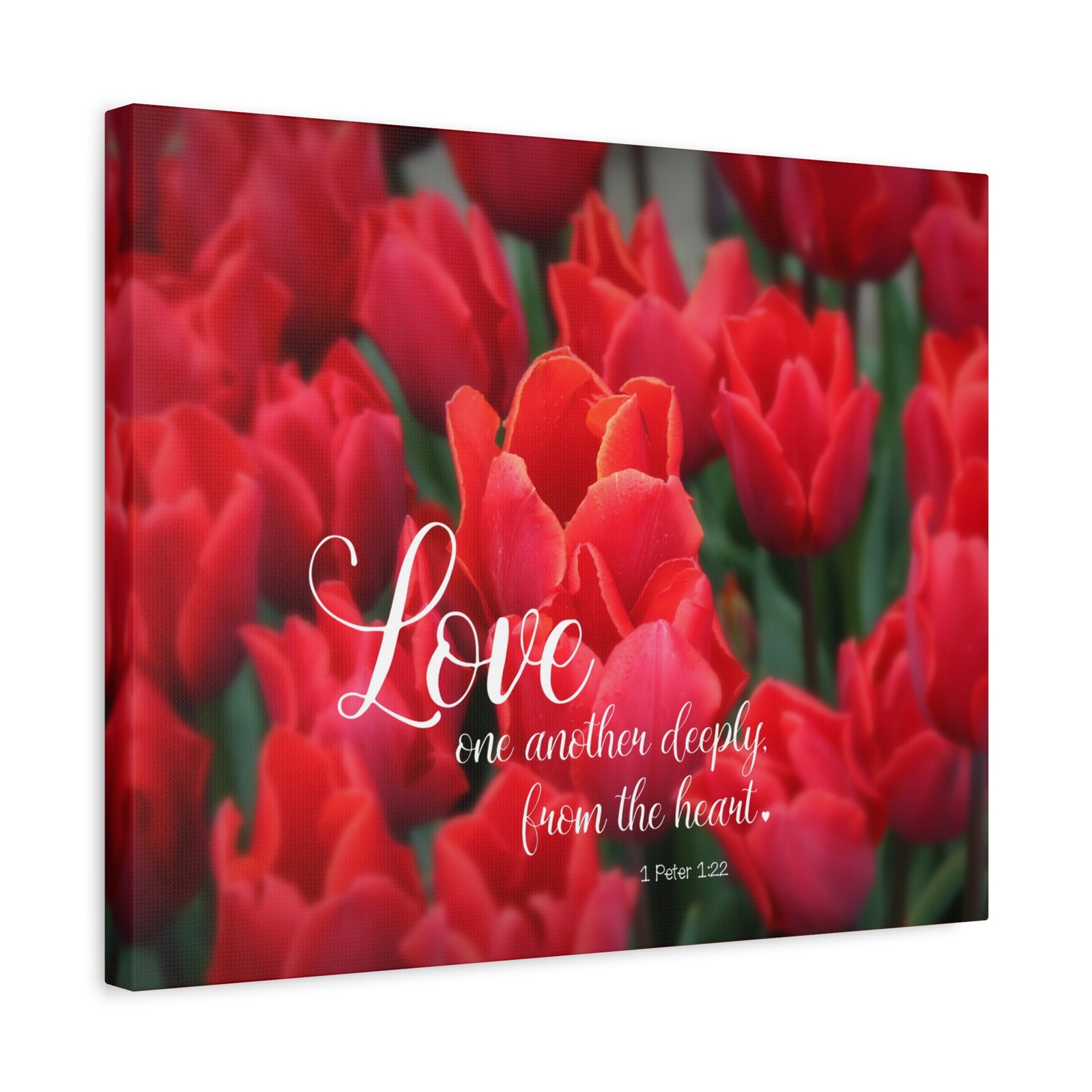 Scripture Canvas From The Heart 1 Peter 1:22 Christian Wall Art Bible Verse Print Ready to Hang-Express Your Love Gifts