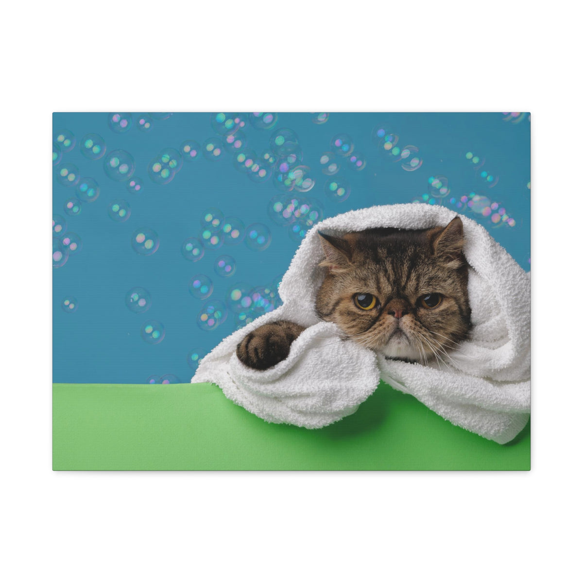 Cute Exotic Shorthair Bathee Canvas Wall Art for Home Decor Ready-to-Hang-Express Your Love Gifts