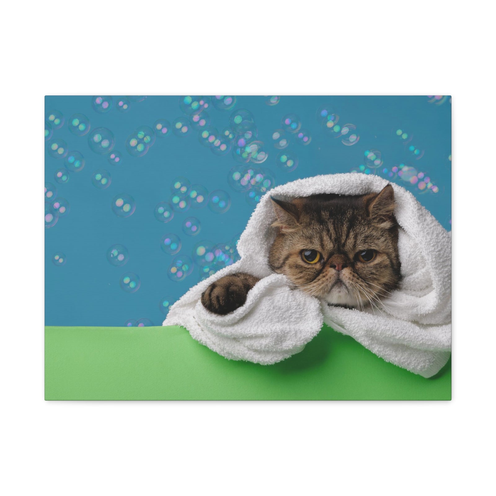 Cute Exotic Shorthair Bathee Canvas Wall Art for Home Decor Ready-to-Hang-Express Your Love Gifts