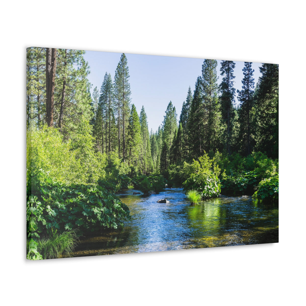 River Through The Green Forest Nature Wilderness Photography Canvas Wall Art for Home Decor Ready-to-Hang-Express Your Love Gifts