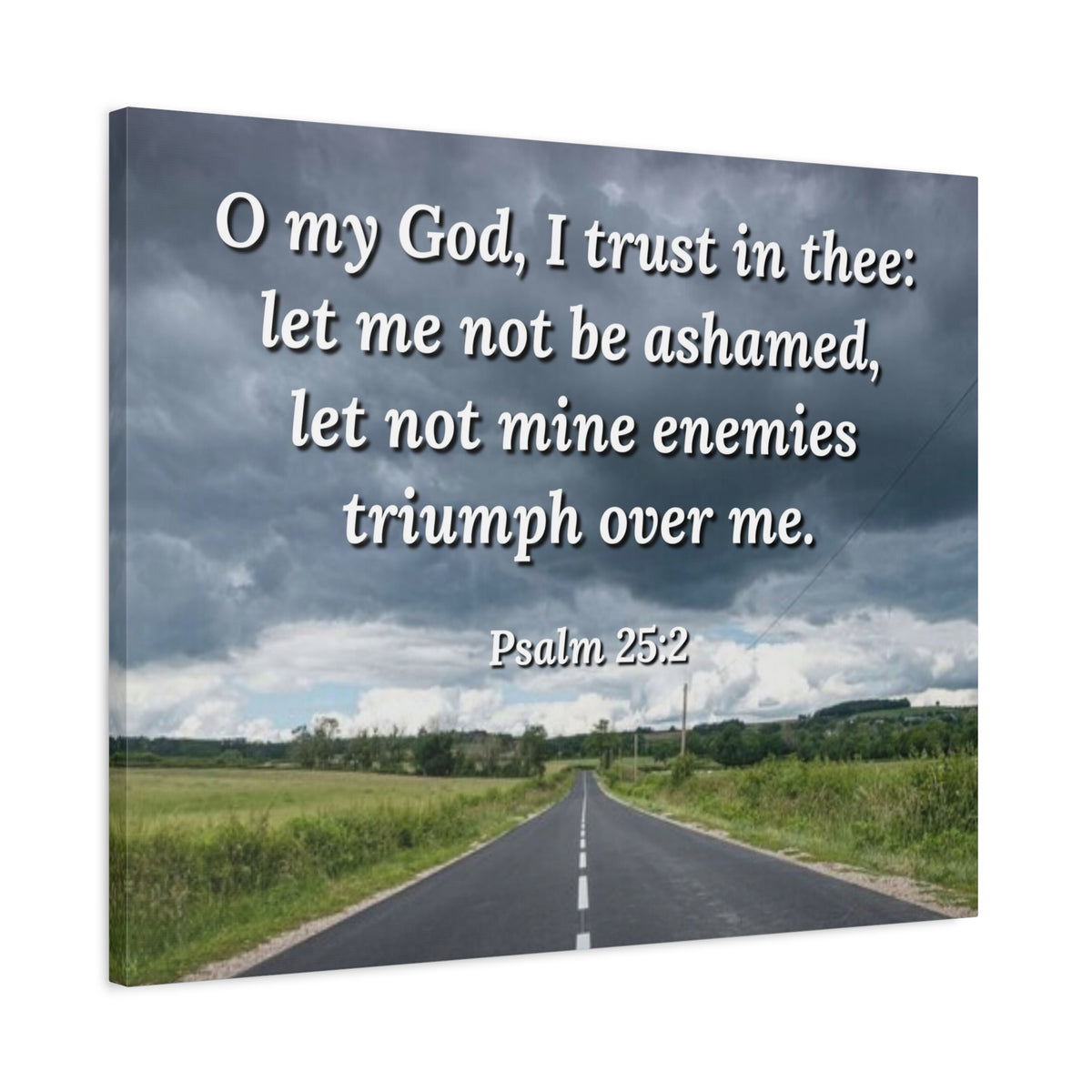 Scripture Canvas Triumph Psalm 25:2 Christian Wall Art Bible Verse Print Ready to Hang-Express Your Love Gifts