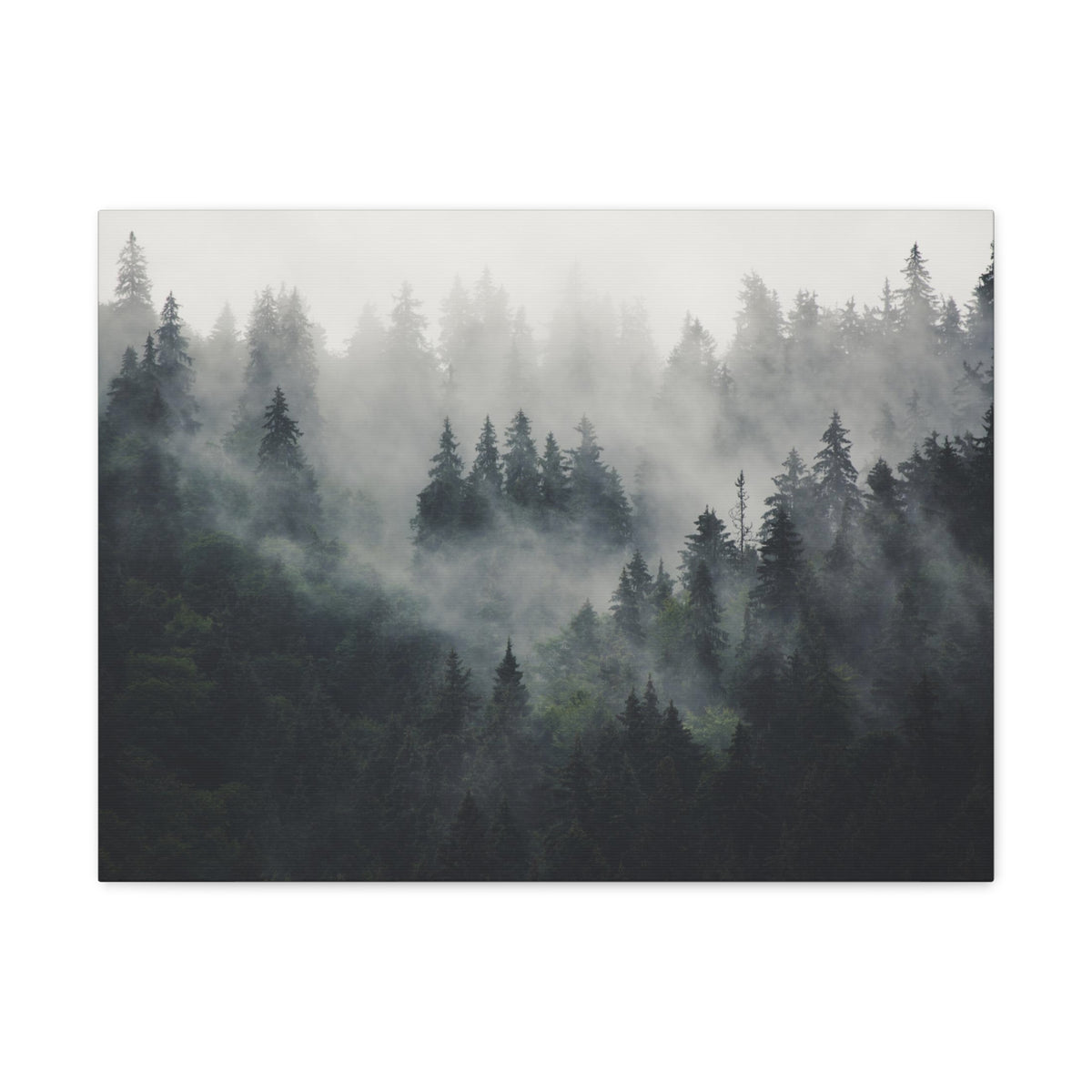 Misty Pine Tree Green Forest Nature Wilderness Photography Canvas Wall Art for Home Decor Ready-to-Hang-Express Your Love Gifts
