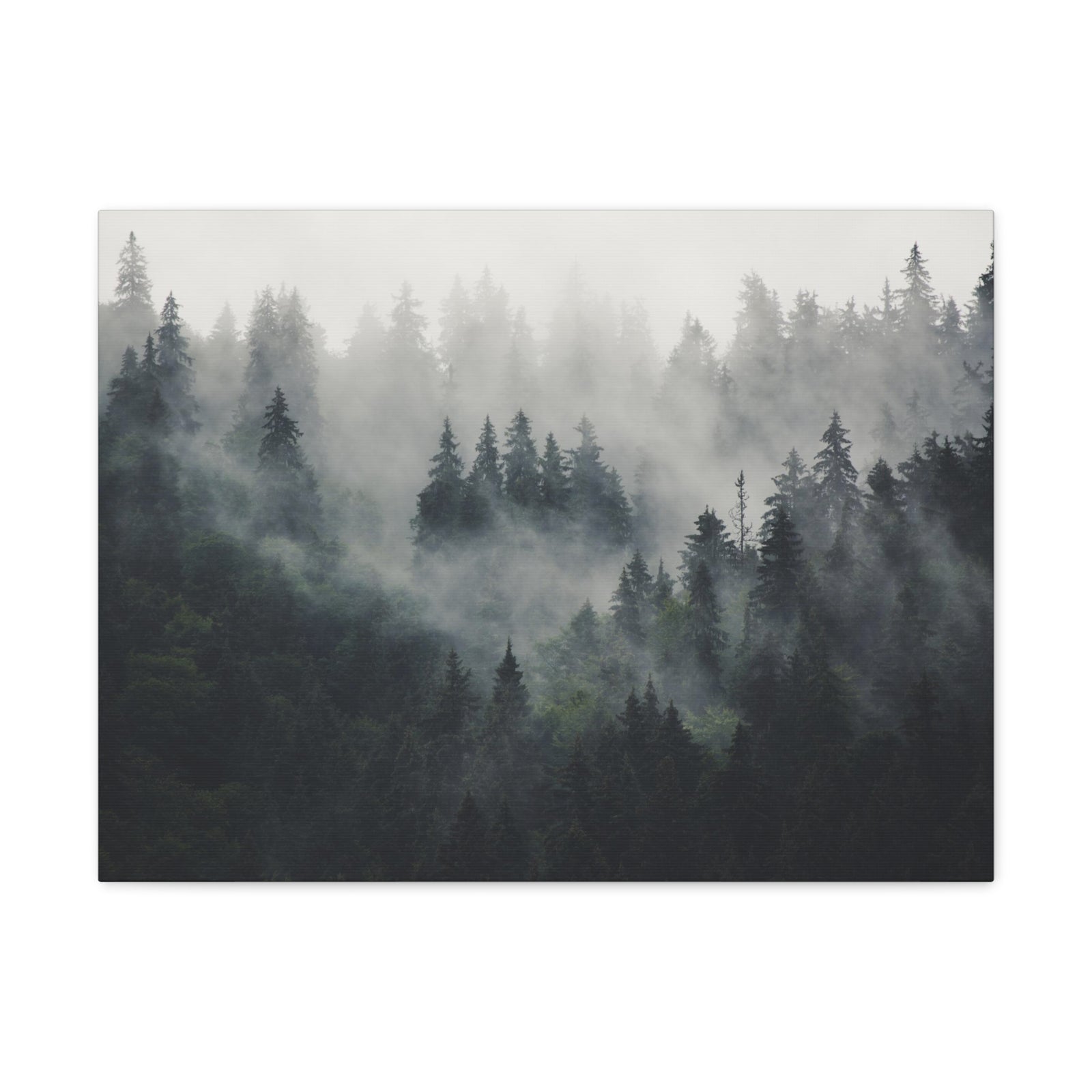 Misty Pine Tree Green Forest Nature Wilderness Photography Canvas Wall Art for Home Decor Ready-to-Hang-Express Your Love Gifts