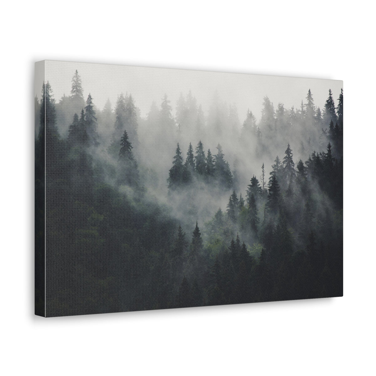 Misty Pine Tree Green Forest Nature Wilderness Photography Canvas Wall Art for Home Decor Ready-to-Hang-Express Your Love Gifts