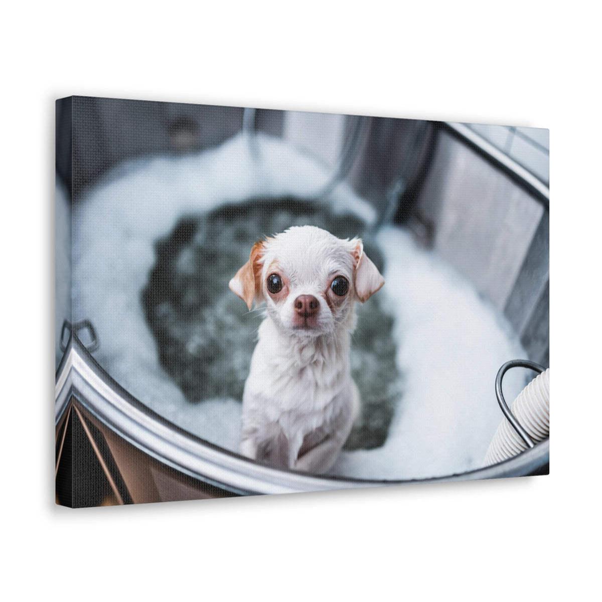 Cute Chihuahua Bathee Canvas Wall Art for Home Decor Ready-to-Hang-Express Your Love Gifts
