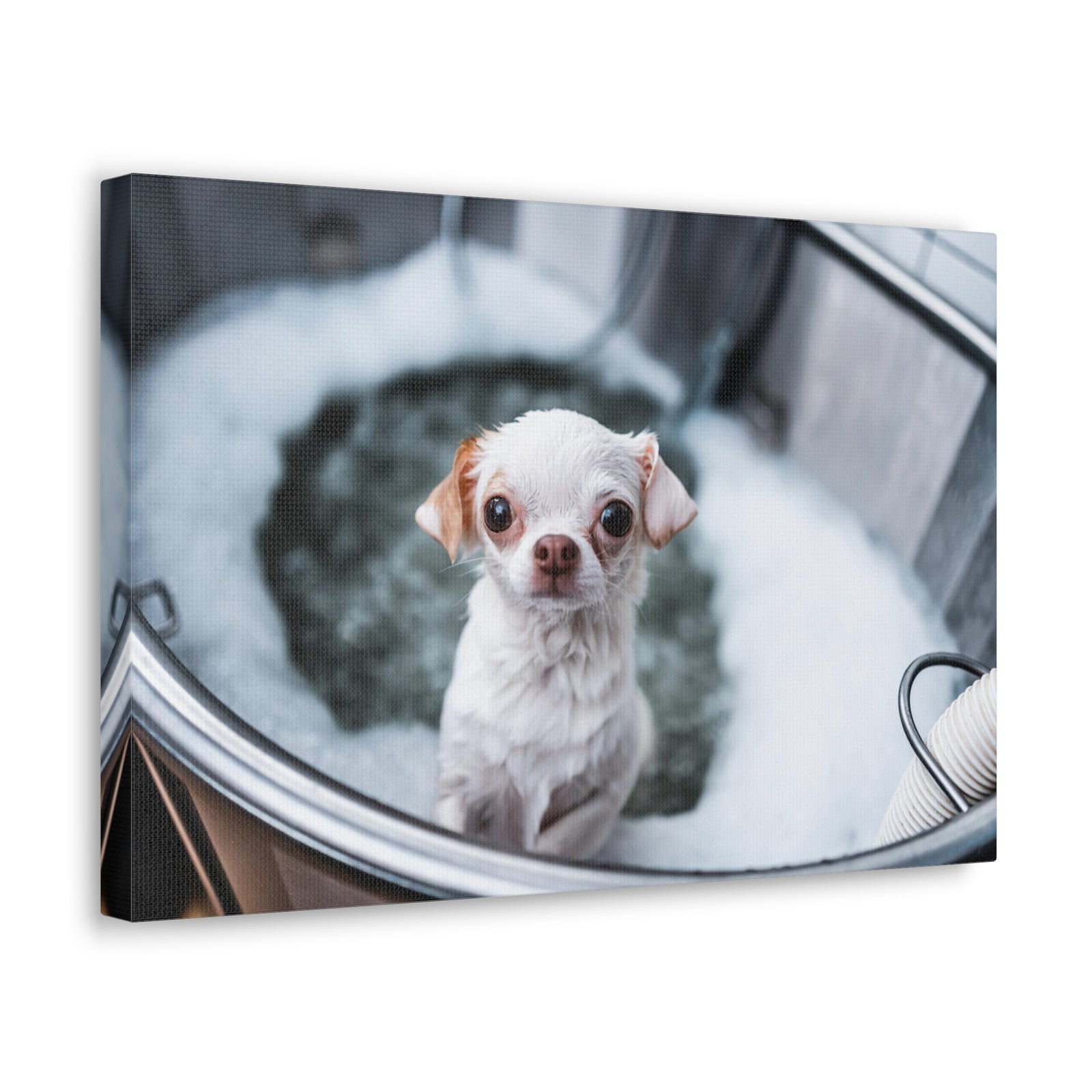 Cute Chihuahua Bathee Canvas Wall Art for Home Decor Ready-to-Hang-Express Your Love Gifts
