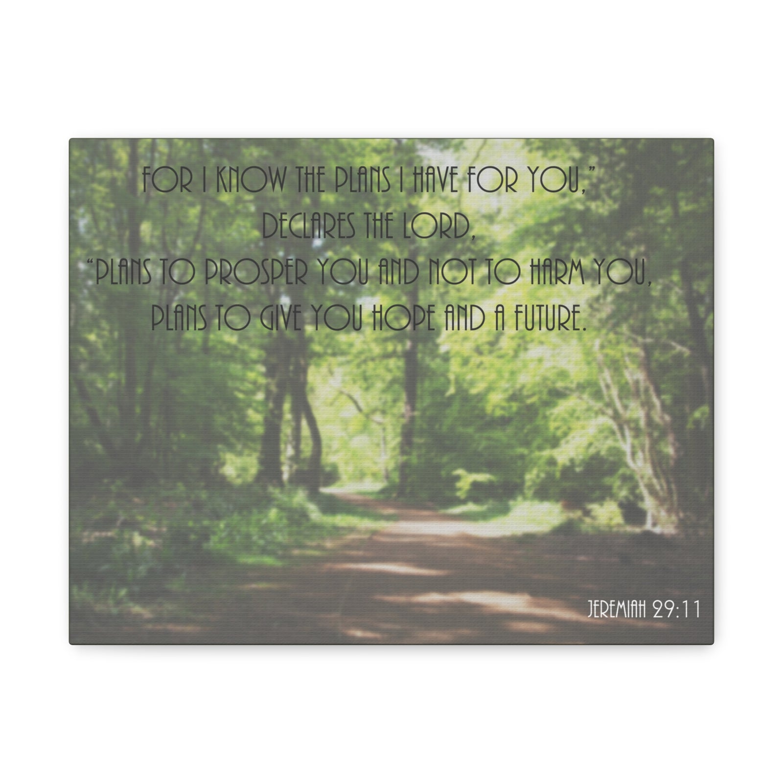 Scripture Canvas To Prosper Jeremiah 29:11 Christian Wall Art Bible Verse Print Ready to Hang-Express Your Love Gifts