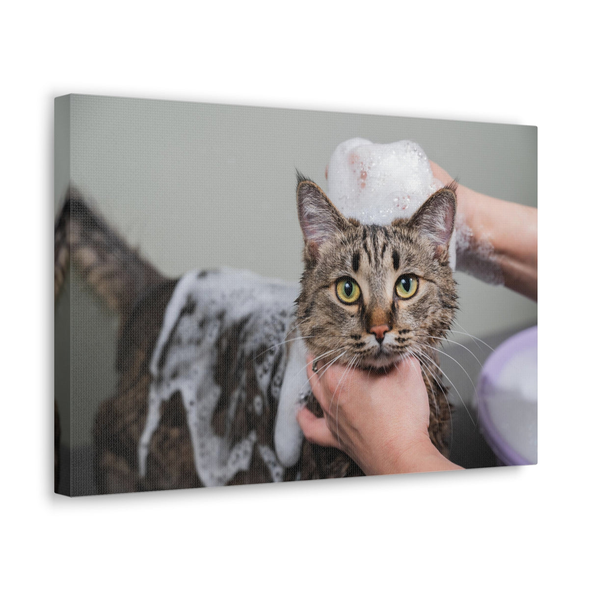 Cute Gray Cat Bath Canvas Wall Art for Home Decor Ready-to-Hang-Express Your Love Gifts