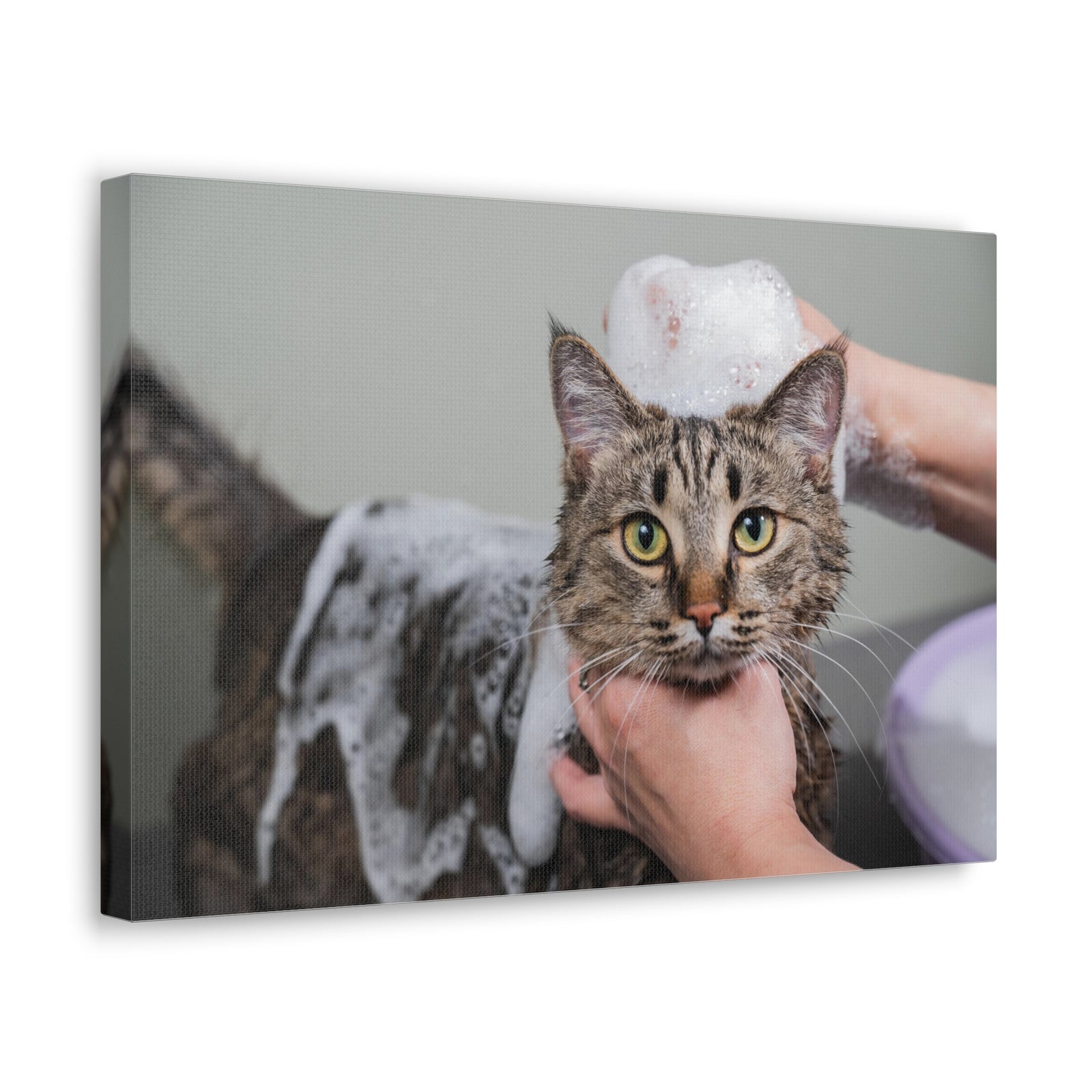 Cute Gray Cat Bath Canvas Wall Art for Home Decor Ready-to-Hang-Express Your Love Gifts