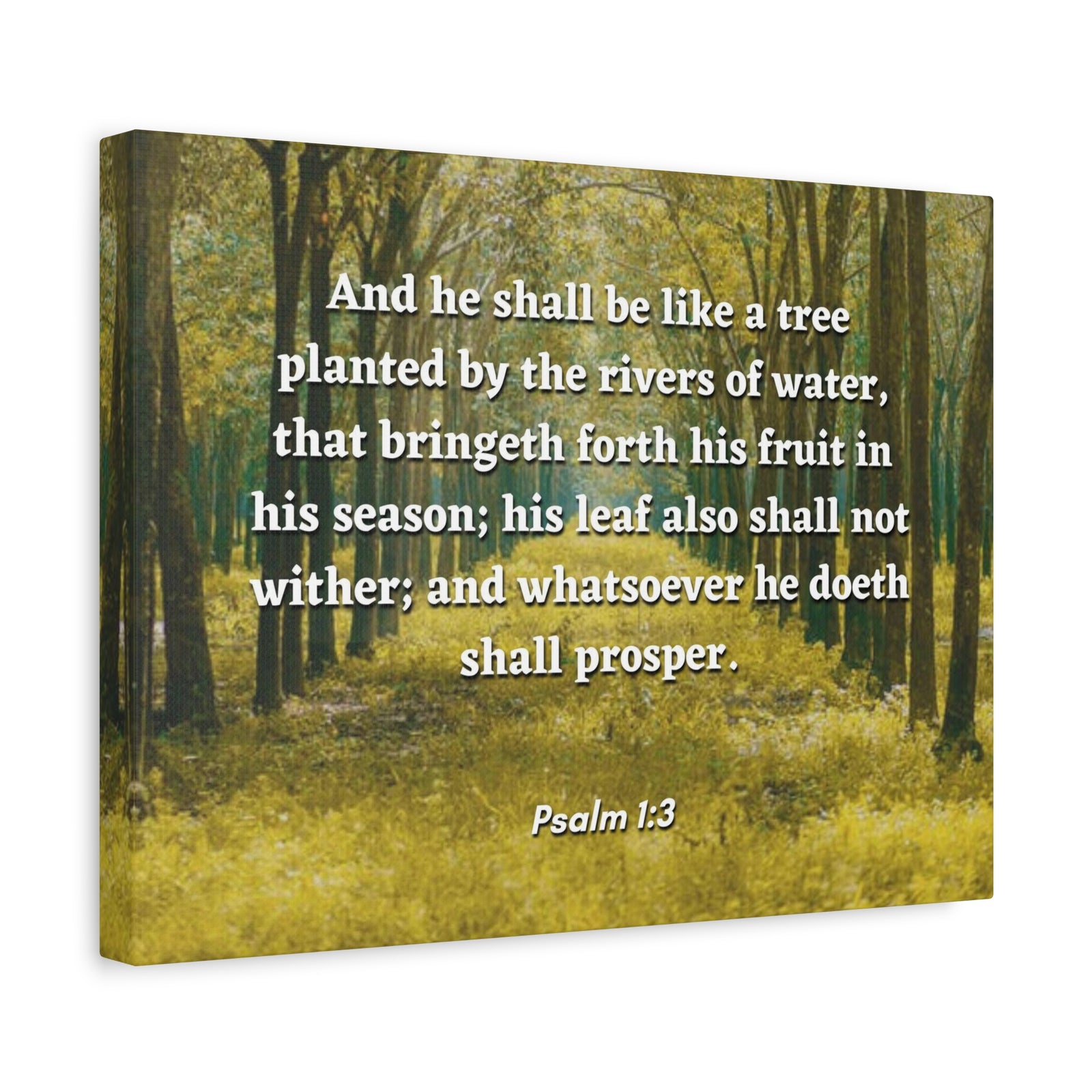 Scripture Canvas Shall Prosper Psalms 1:3 Christian Wall Art Bible Verse Print Ready to Hang-Express Your Love Gifts
