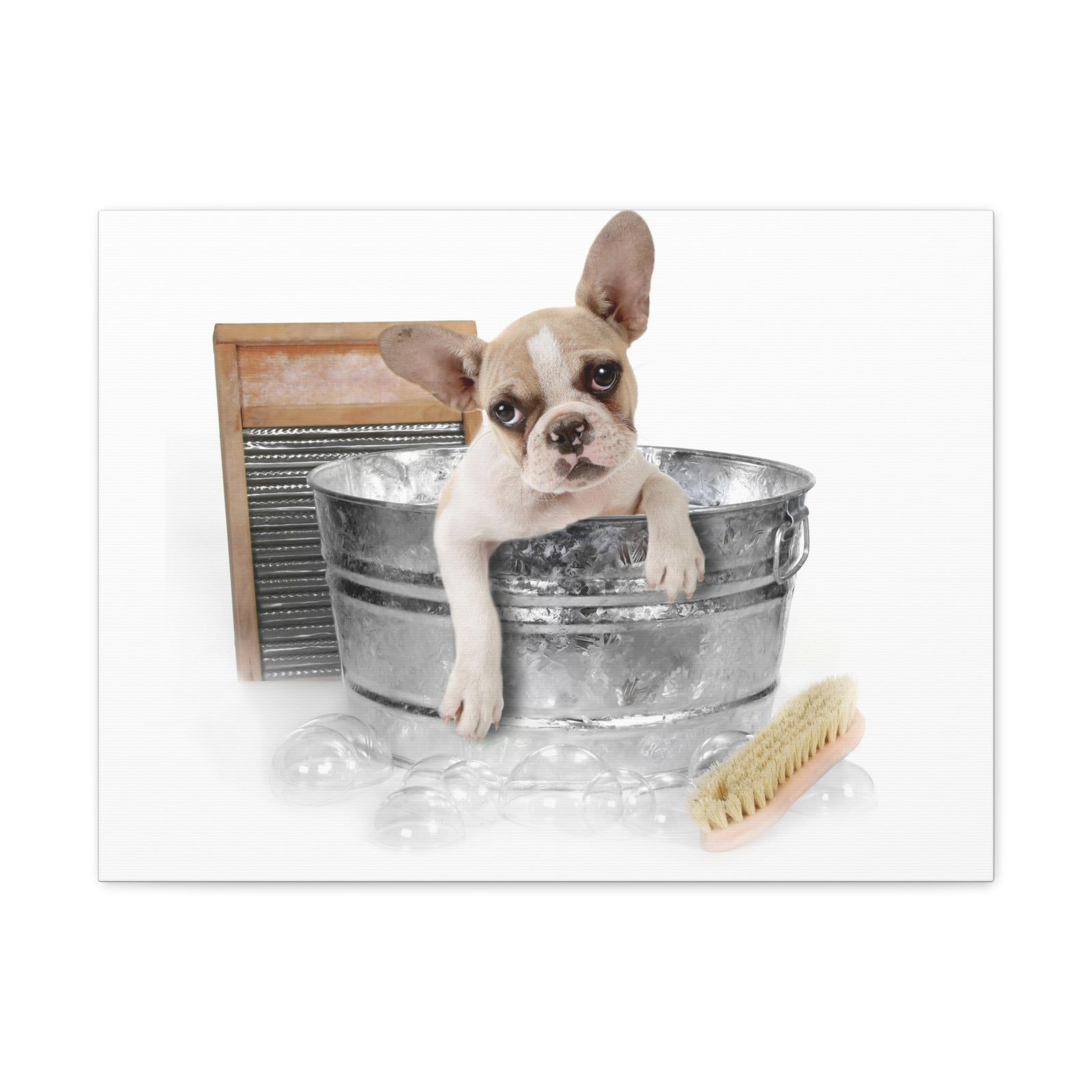 Cute French Bulldog Bath Canvas Wall Art for Home Decor Ready-to-Hang-Express Your Love Gifts