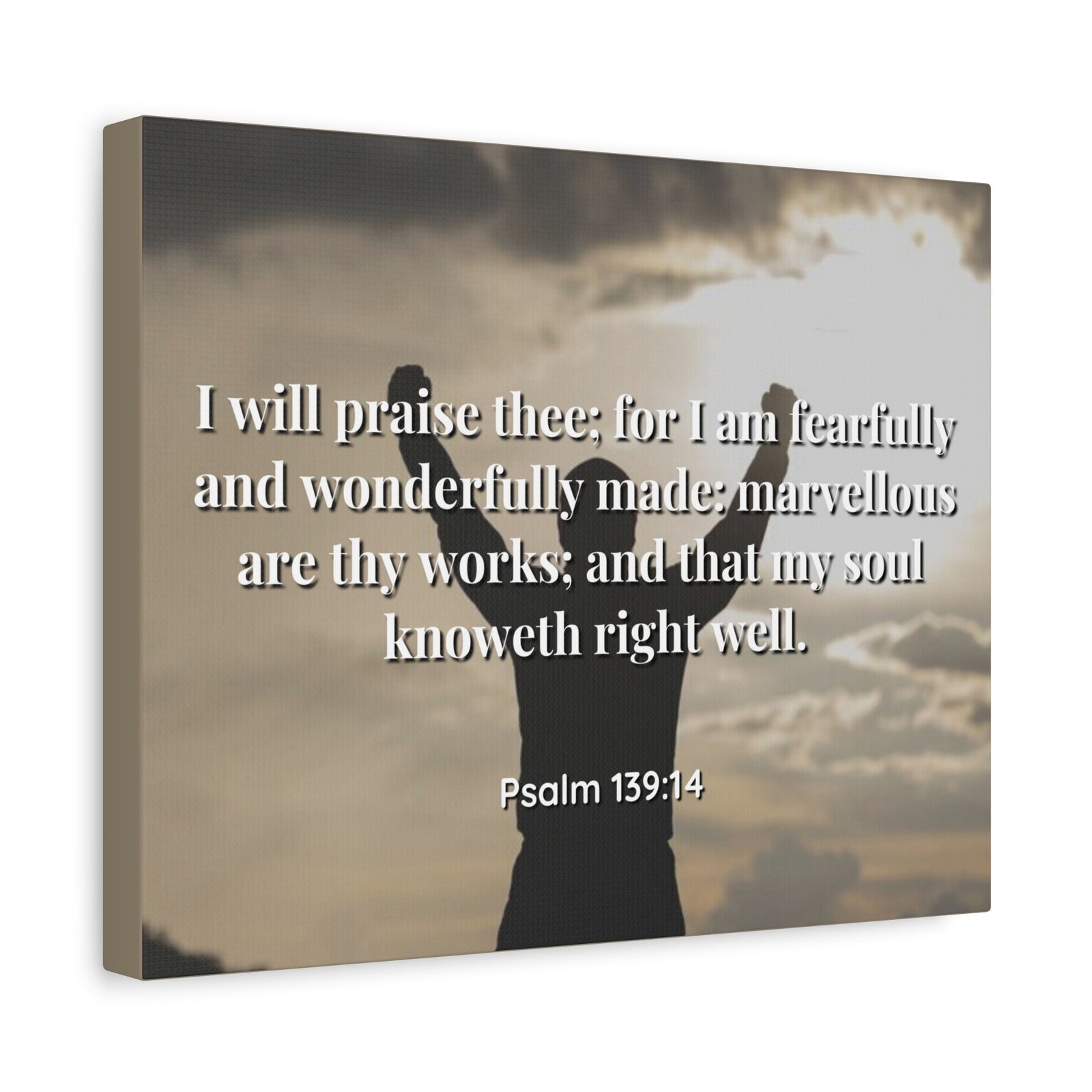 Scripture Canvas Marvellous Psalms 139:14 Christian Wall Art Bible Verse Print Ready to Hang-Express Your Love Gifts