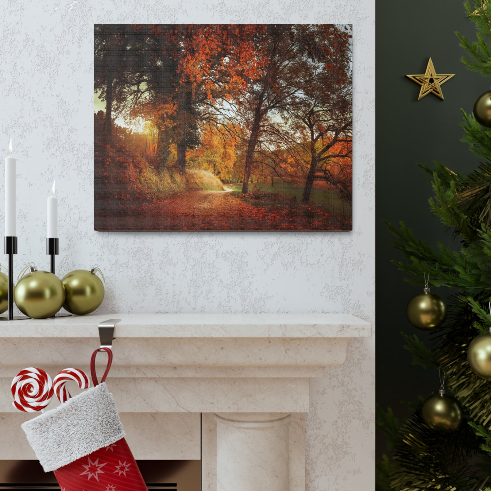 Autumn Park Orange Tree Nature Wilderness Photography Canvas Wall Art for Home Decor Ready-to-Hang-Express Your Love Gifts