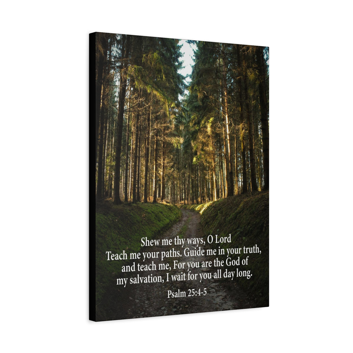 Scripture Canvas Baptism Psalm 25:4-5 Christian Wall Art Bible Verse Print Ready to Hang-Express Your Love Gifts