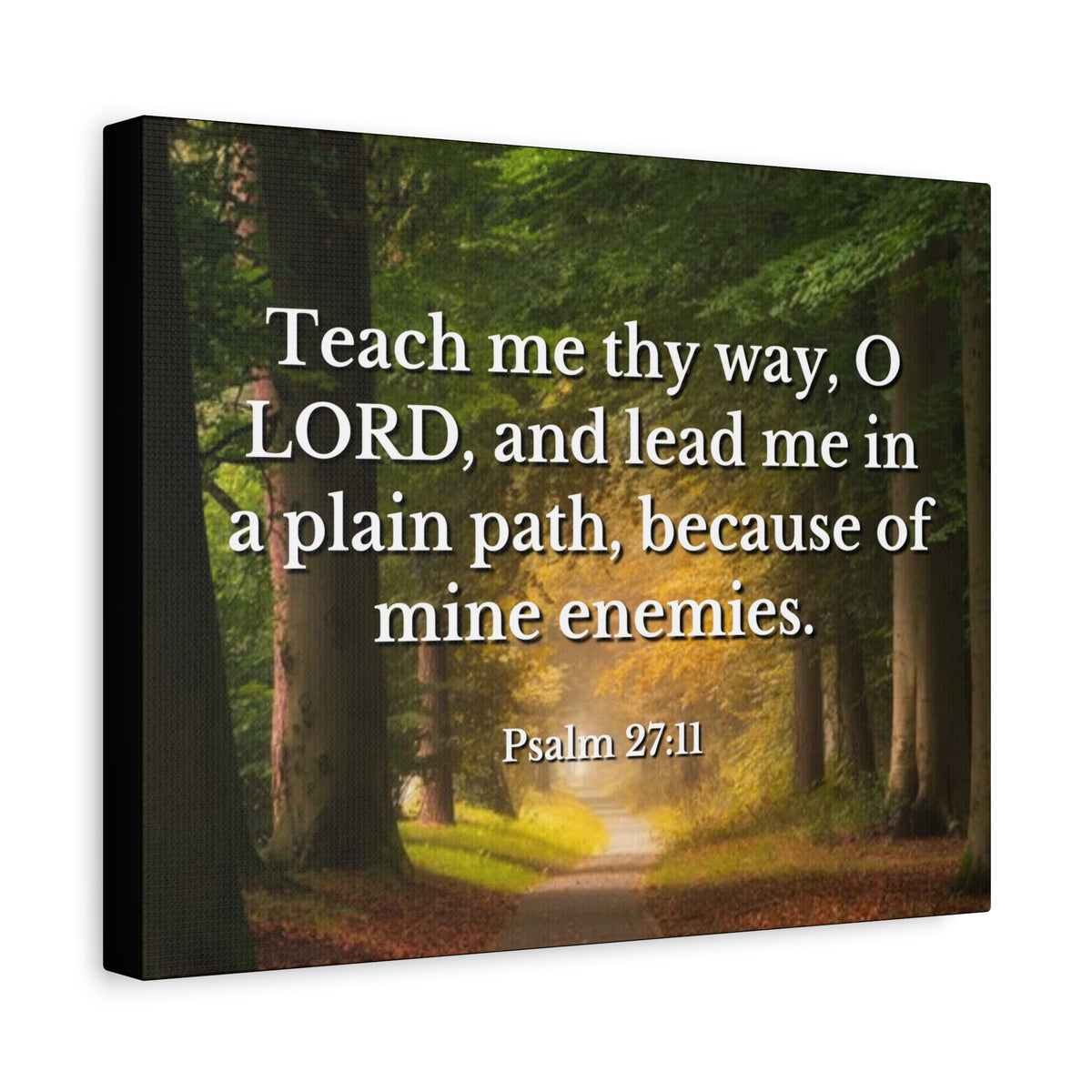 Scripture Canvas Plain Path Psalm 27:11 Christian Wall Art Bible Verse Print Ready to Hang-Express Your Love Gifts