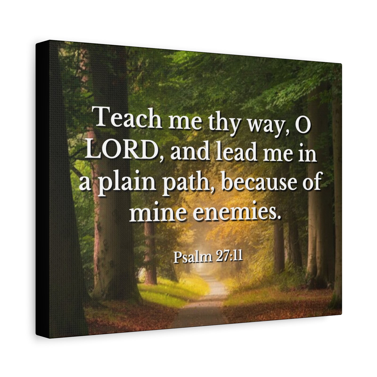 Scripture Canvas Plain Path Psalm 27:11 Christian Wall Art Bible Verse Print Ready to Hang-Express Your Love Gifts