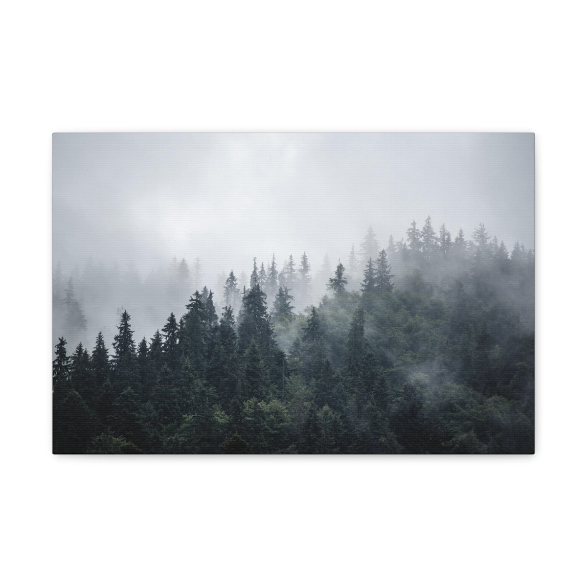Foggy Pine Tree Green Forest Nature Wilderness Photography Canvas Wall Art for Home Decor Ready-to-Hang-Express Your Love Gifts