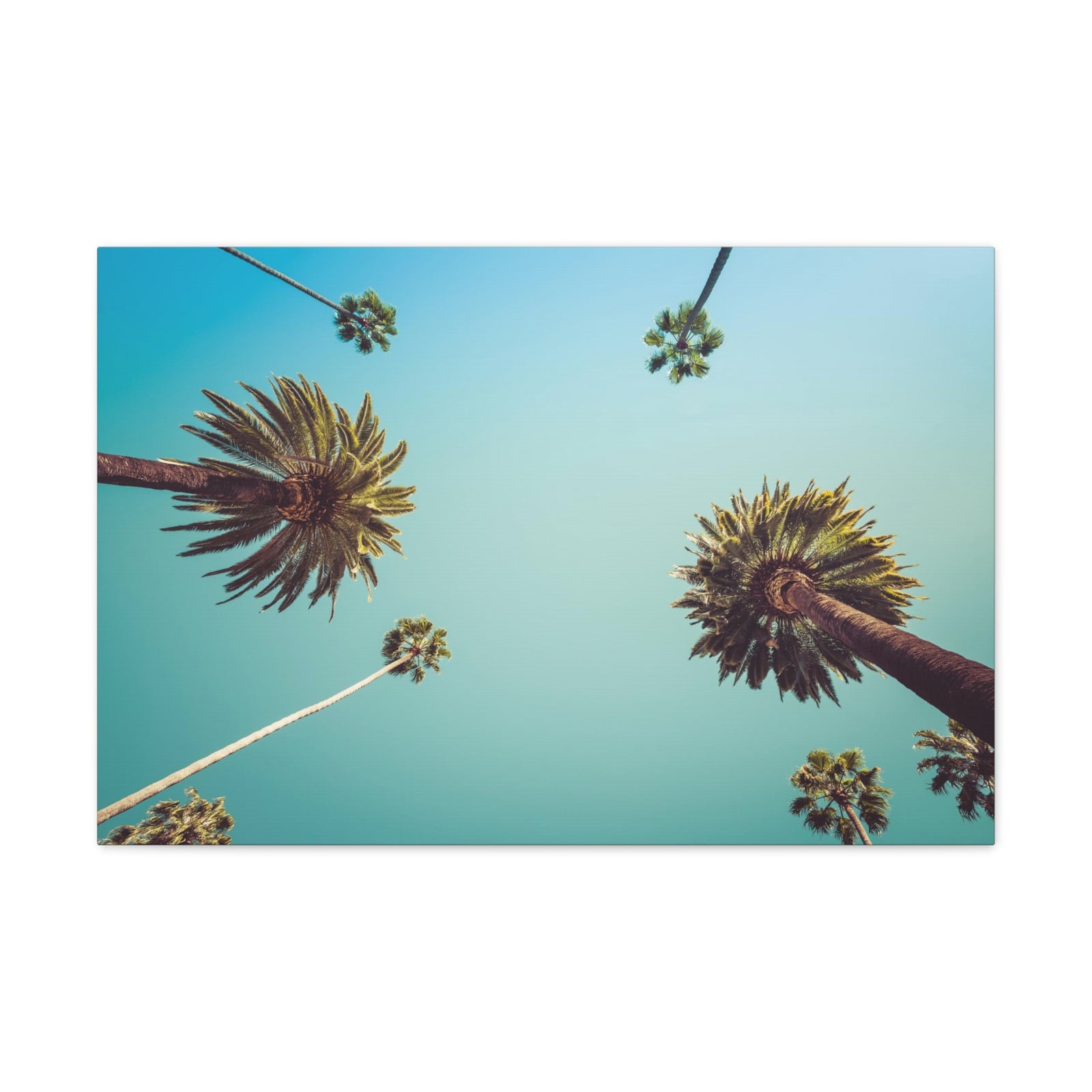 Los Angeles Palm Trees Modern Multicolor Scenic Nature Photography Canvas Home Office Decor Ready to Hang-Express Your Love Gifts