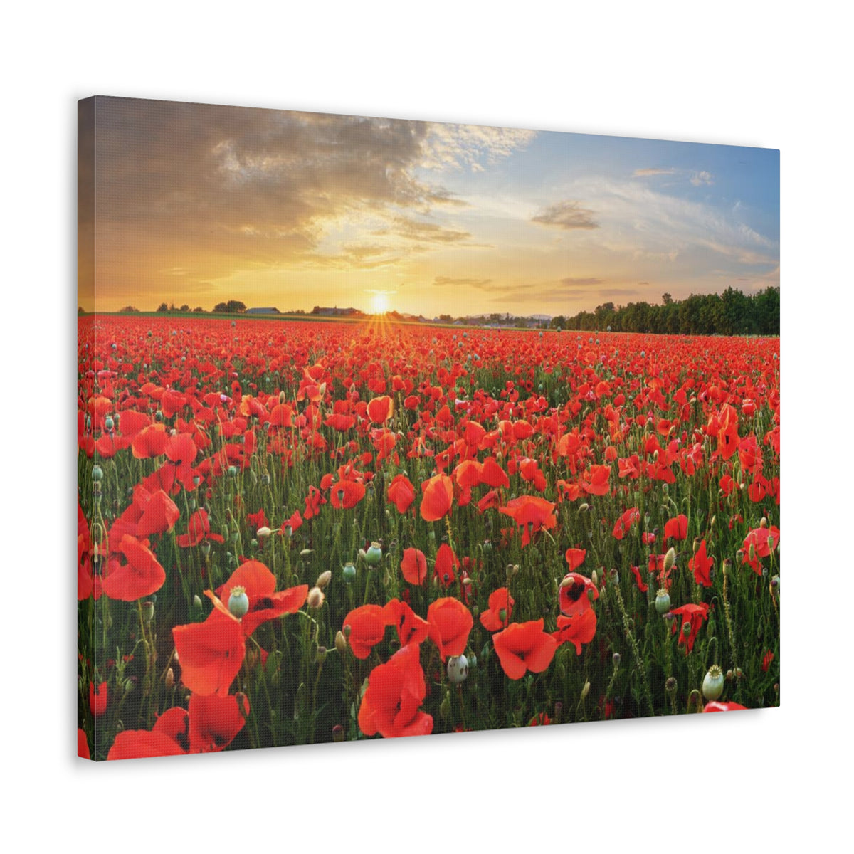 Sunset Over Poppy Field Flower Canvas Wall Art for Home Decor Ready-to-Hang-Express Your Love Gifts