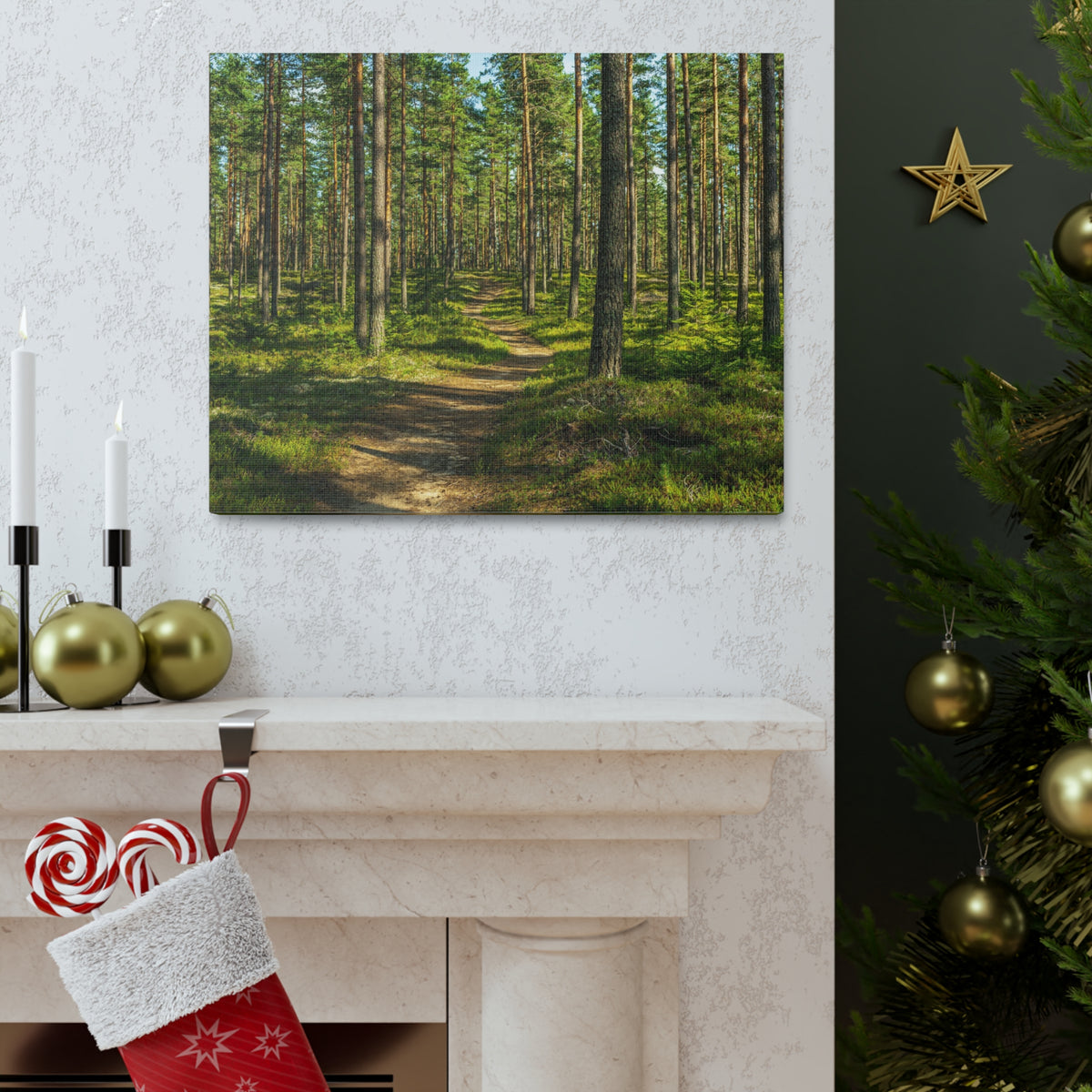 Green Forest Tree Path Nature Wilderness Photography Canvas Wall Art for Home Decor Ready-to-Hang-Express Your Love Gifts