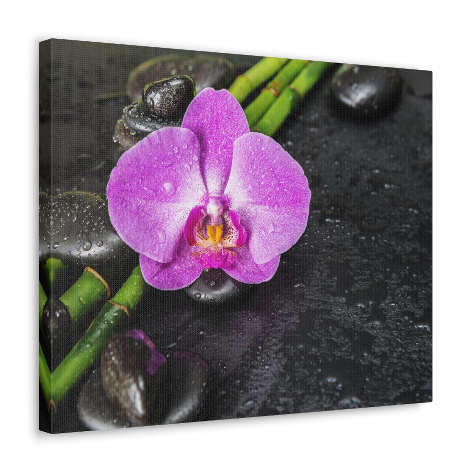 Pink Orchid and Stone Forest Floral Nature Photography Canvas Wall Art for Home Decor Ready-to-Hang-Express Your Love Gifts