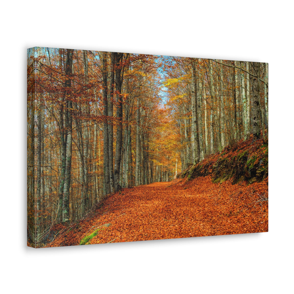 Path Through Red & Orange Autumn Park Nature Wilderness Photography Canvas Wall Art for Home Decor Ready-to-Hang-Express Your Love Gifts
