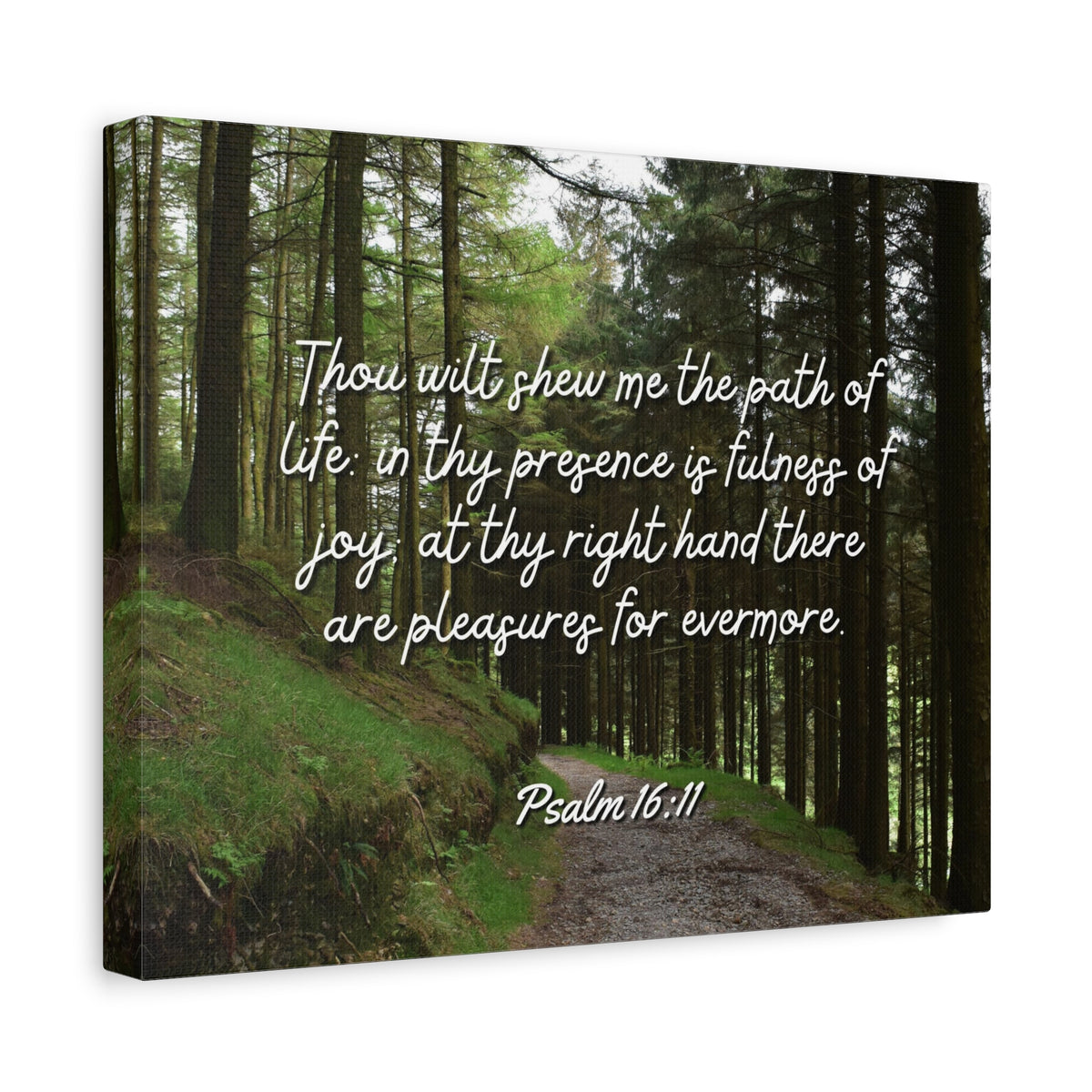 Scripture Walls The Path Of Life Psalm 16:11 Bible Verse Canvas Christian Wall Art Ready to Hang-Express Your Love Gifts
