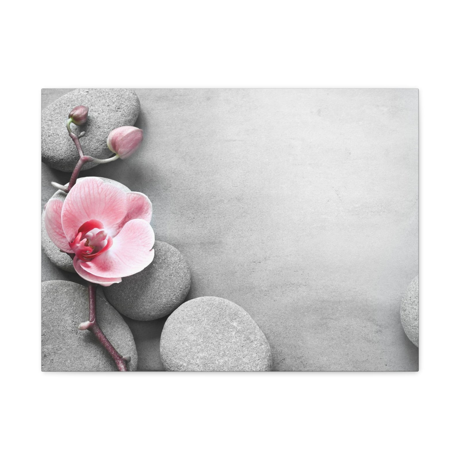 Orchid Pink Flower Forest Floral Nature Photography Canvas Wall Art for Home Decor Ready-to-Hang-Express Your Love Gifts