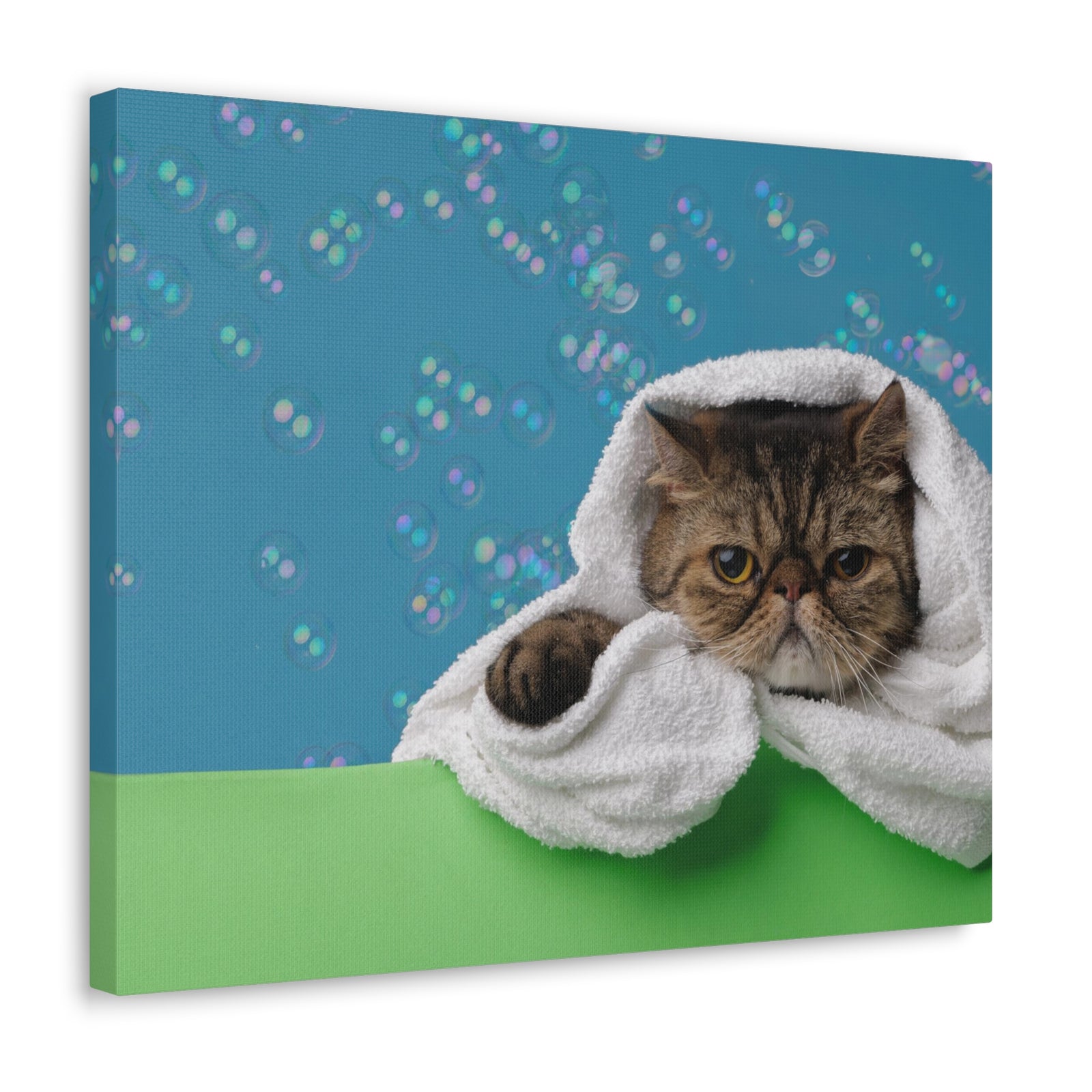 Cute Exotic Shorthair Bathee Canvas Wall Art for Home Decor Ready-to-Hang-Express Your Love Gifts