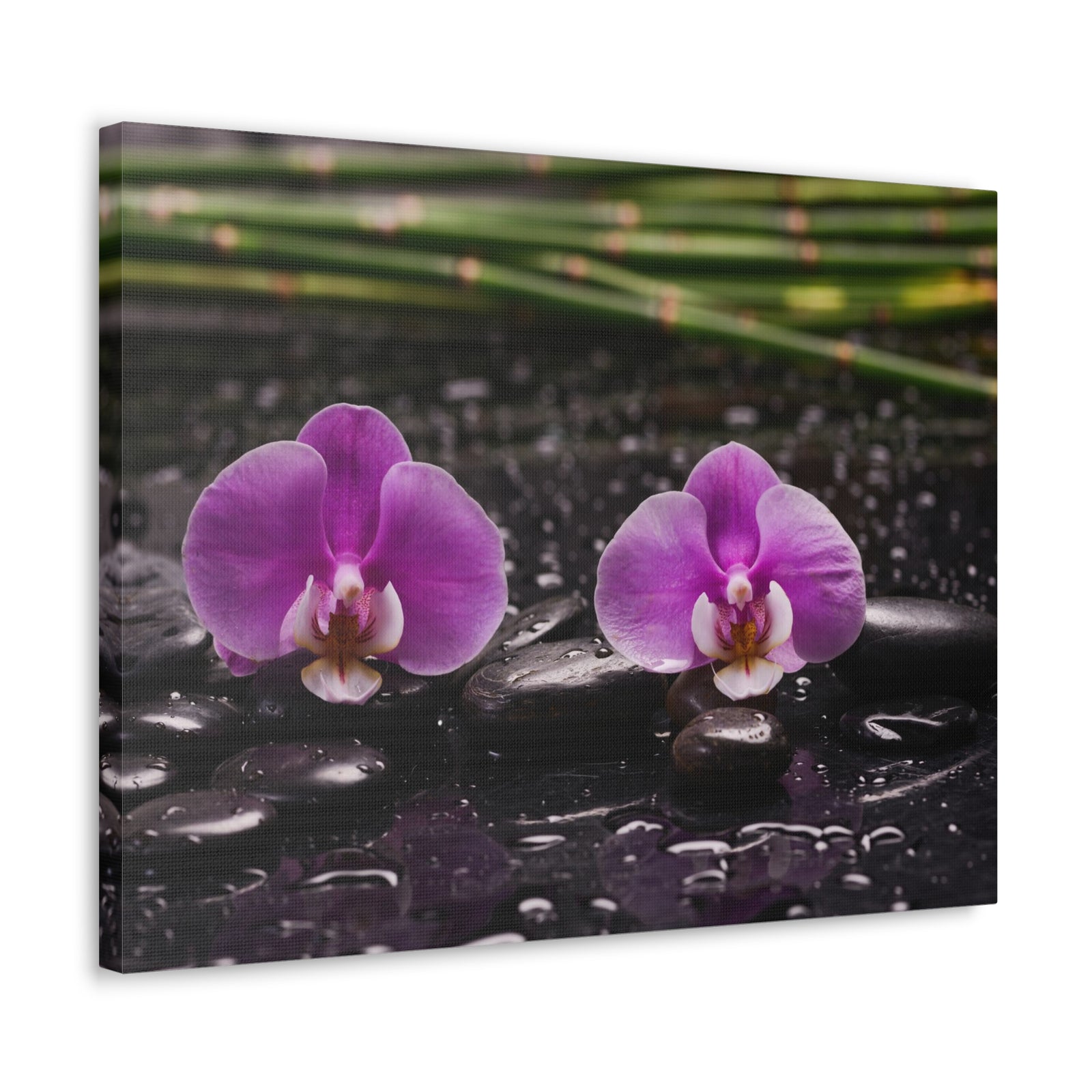 Two Pink Orchid Forest Floral Nature Photography Canvas Wall Art for Home Decor Ready-to-Hang-Express Your Love Gifts