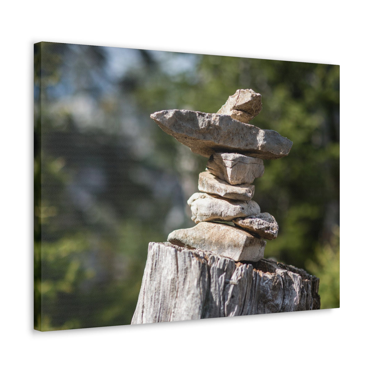 Stones Trail as Marker Forest Floral Nature Photography Canvas Wall Art for Home Decor Ready-to-Hang-Express Your Love Gifts