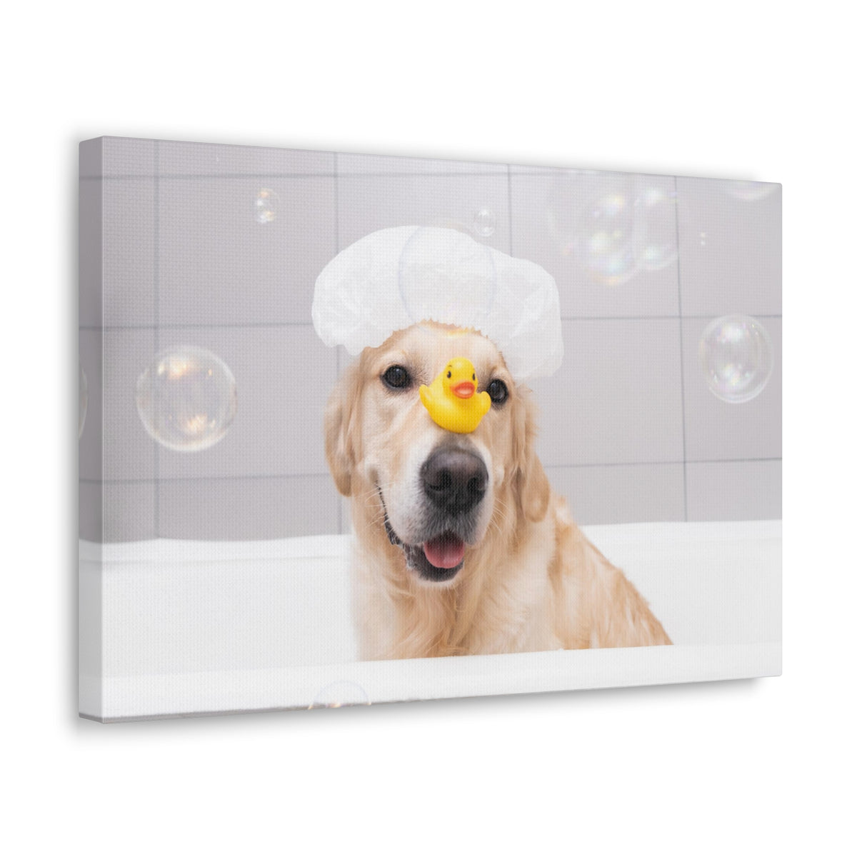 Cute Golden Retriever Bathee Canvas Wall Art for Home Decor Ready-to-Hang-Express Your Love Gifts