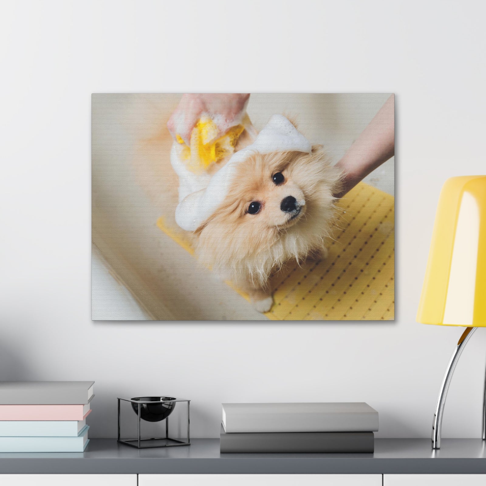 Cute Pomeranian Bathee Canvas Wall Art for Home Decor Ready-to-Hang-Express Your Love Gifts