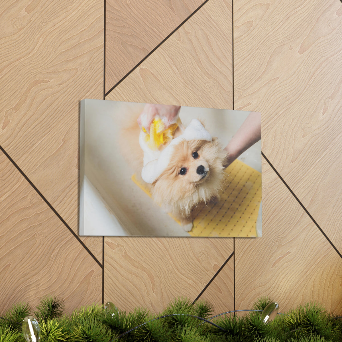 Cute Pomeranian Bathee Canvas Wall Art for Home Decor Ready-to-Hang-Express Your Love Gifts