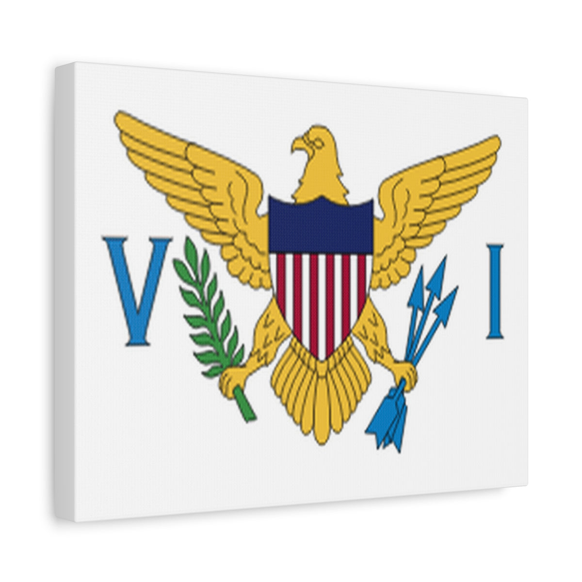United States Virgin Islands Country Flag Canvas Vibrant Wall Art Unframed Home Decor-Express Your Love Gifts